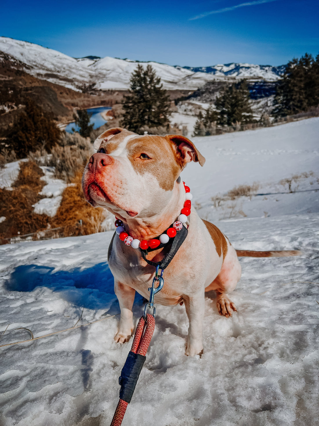 Welcome to TruckerTails!