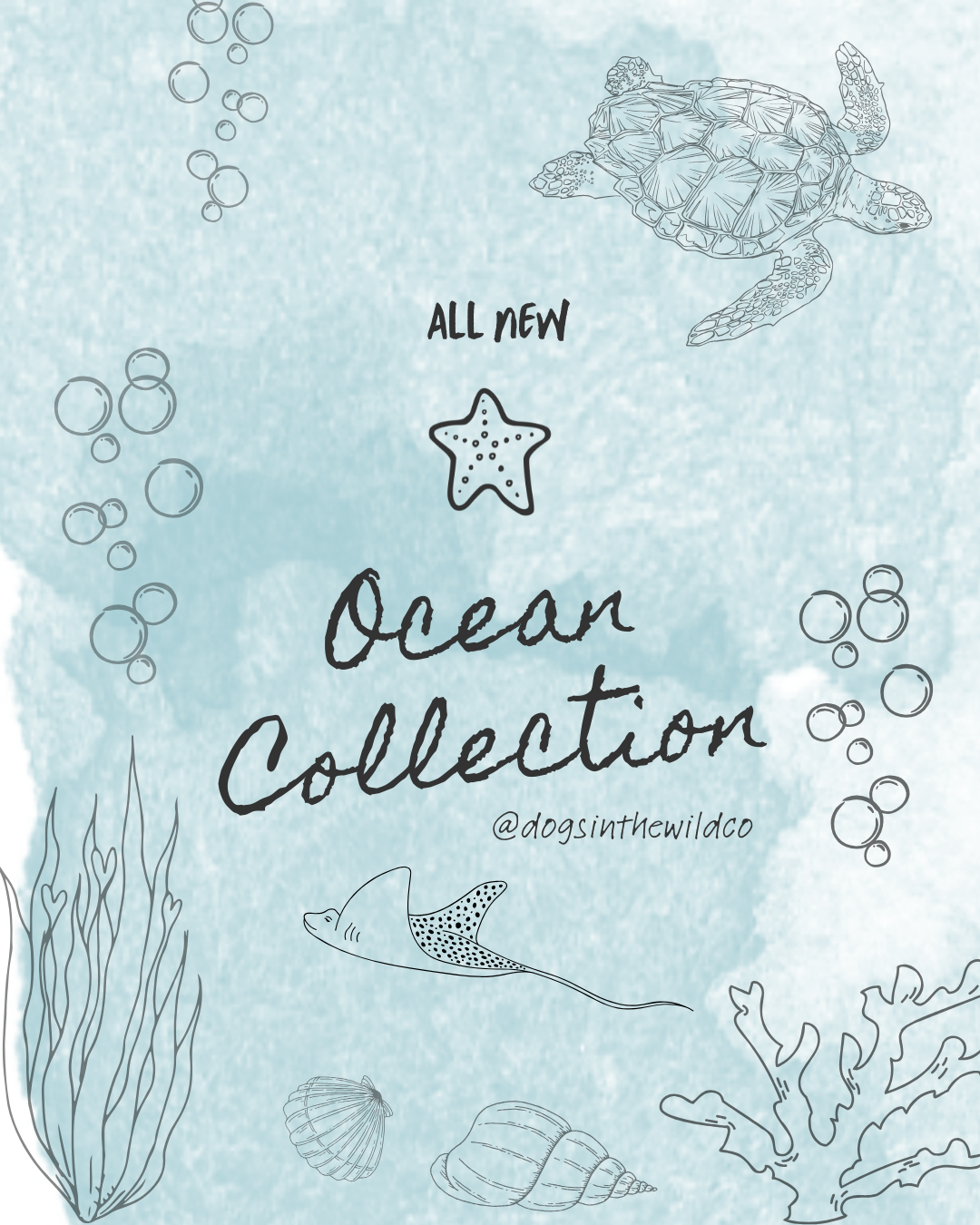 Ocean Collection