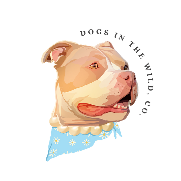 Dogs In The Wild, Co.