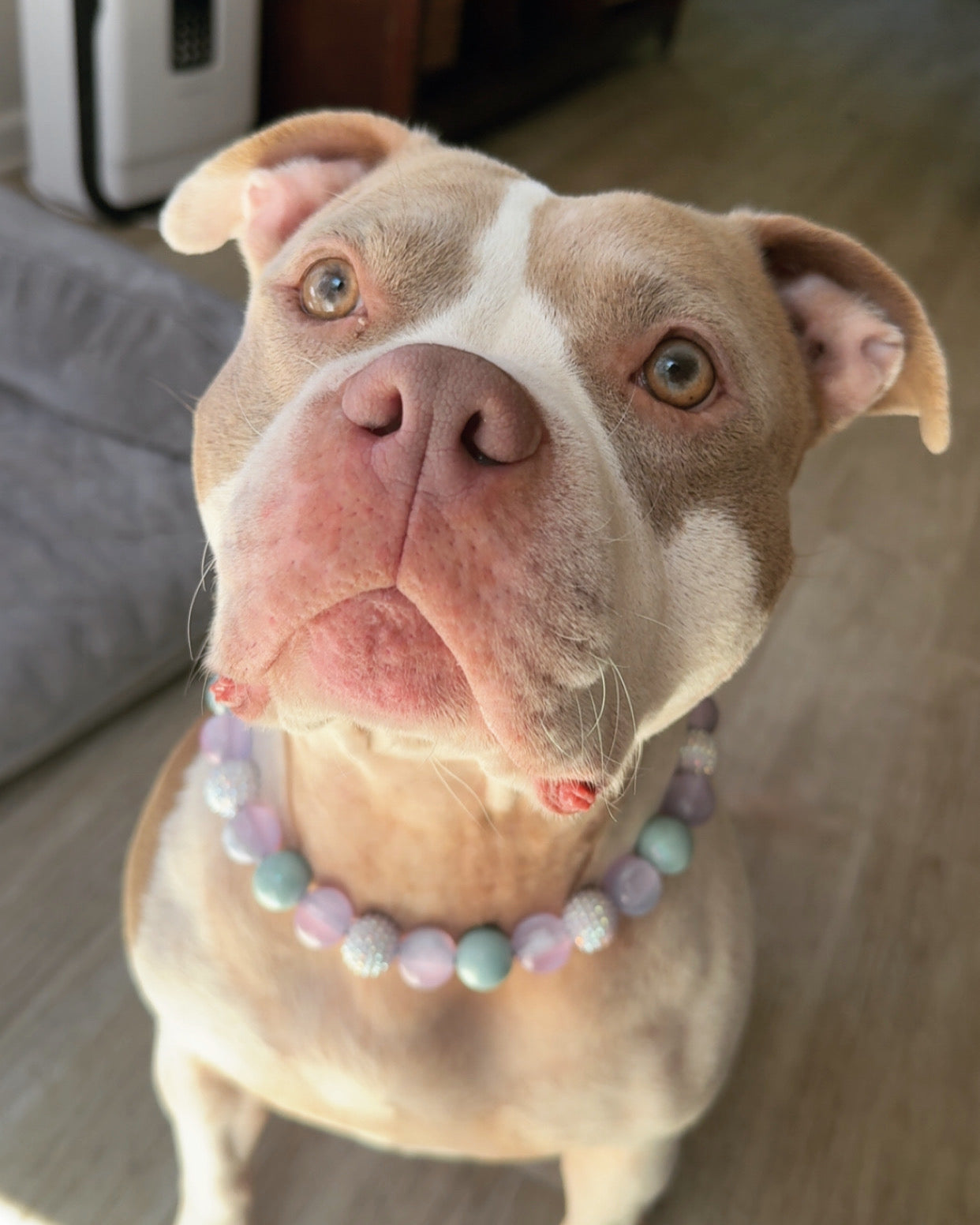 Periwinkle Beaded Collar