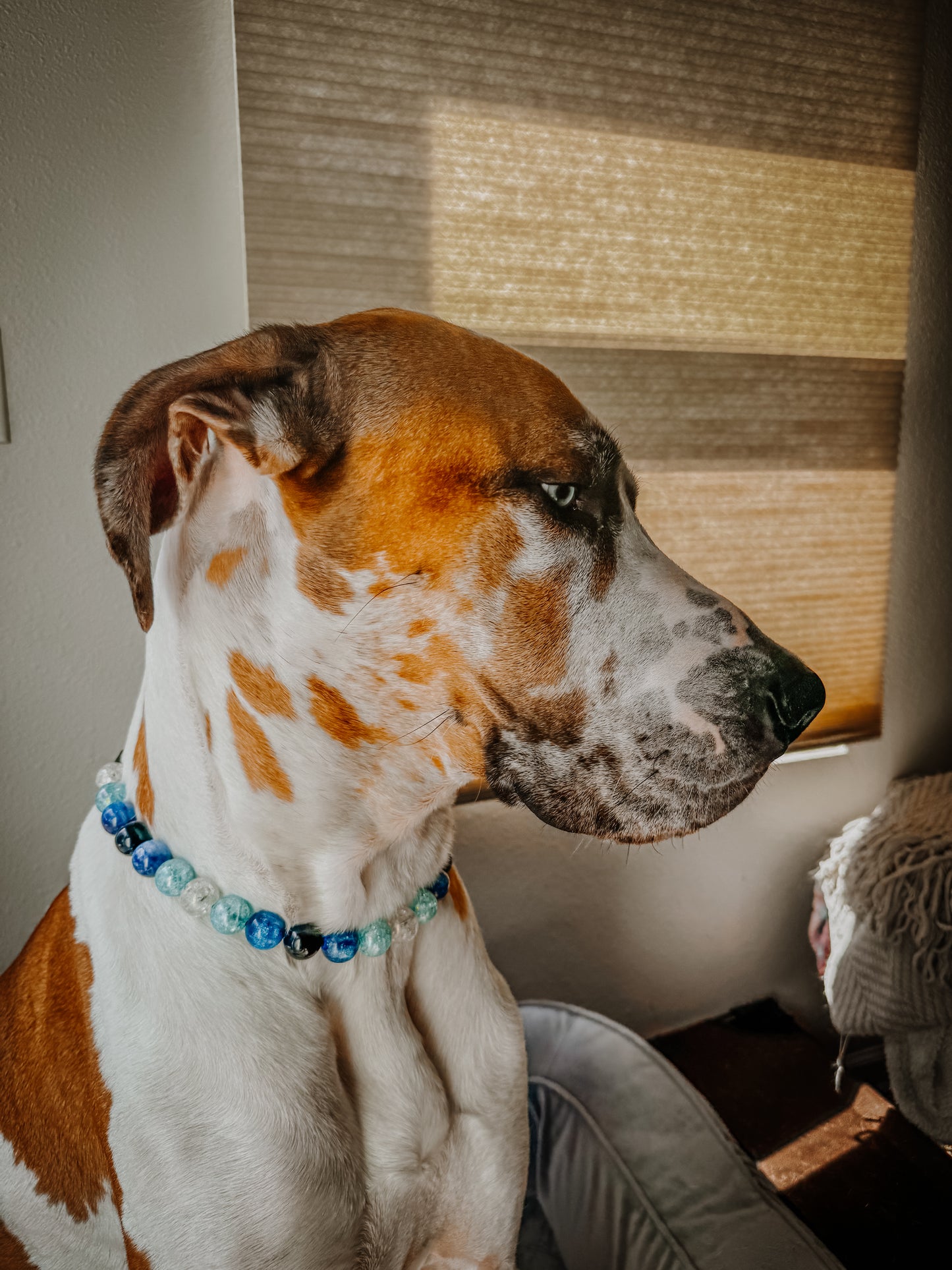 Blue Agate Beaded Collar
