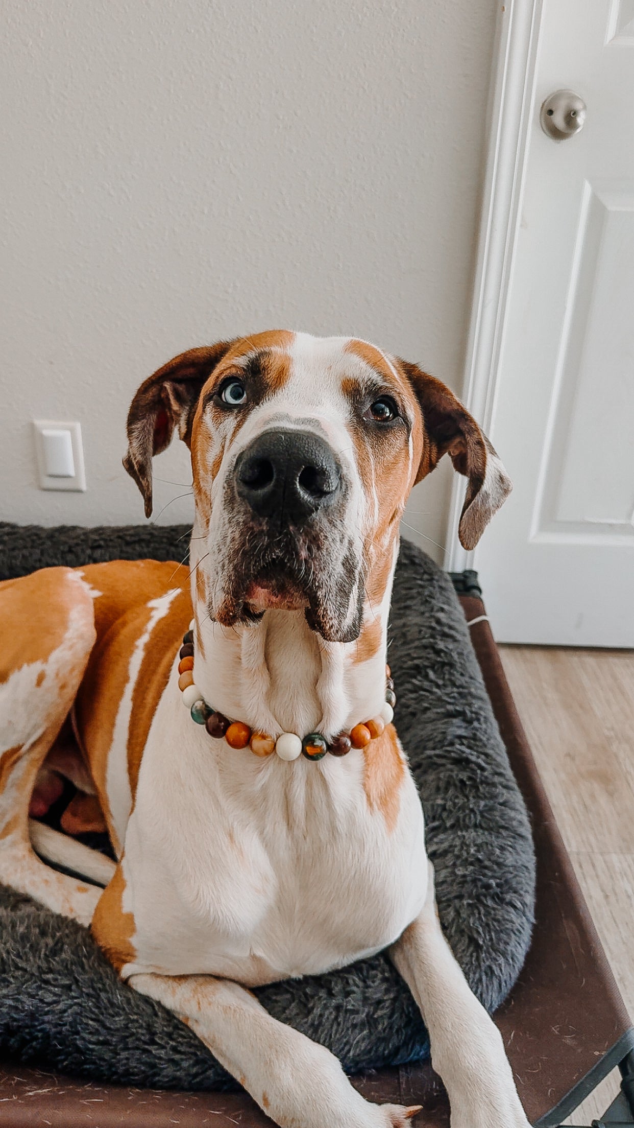 Heimdalls Beaded Collar