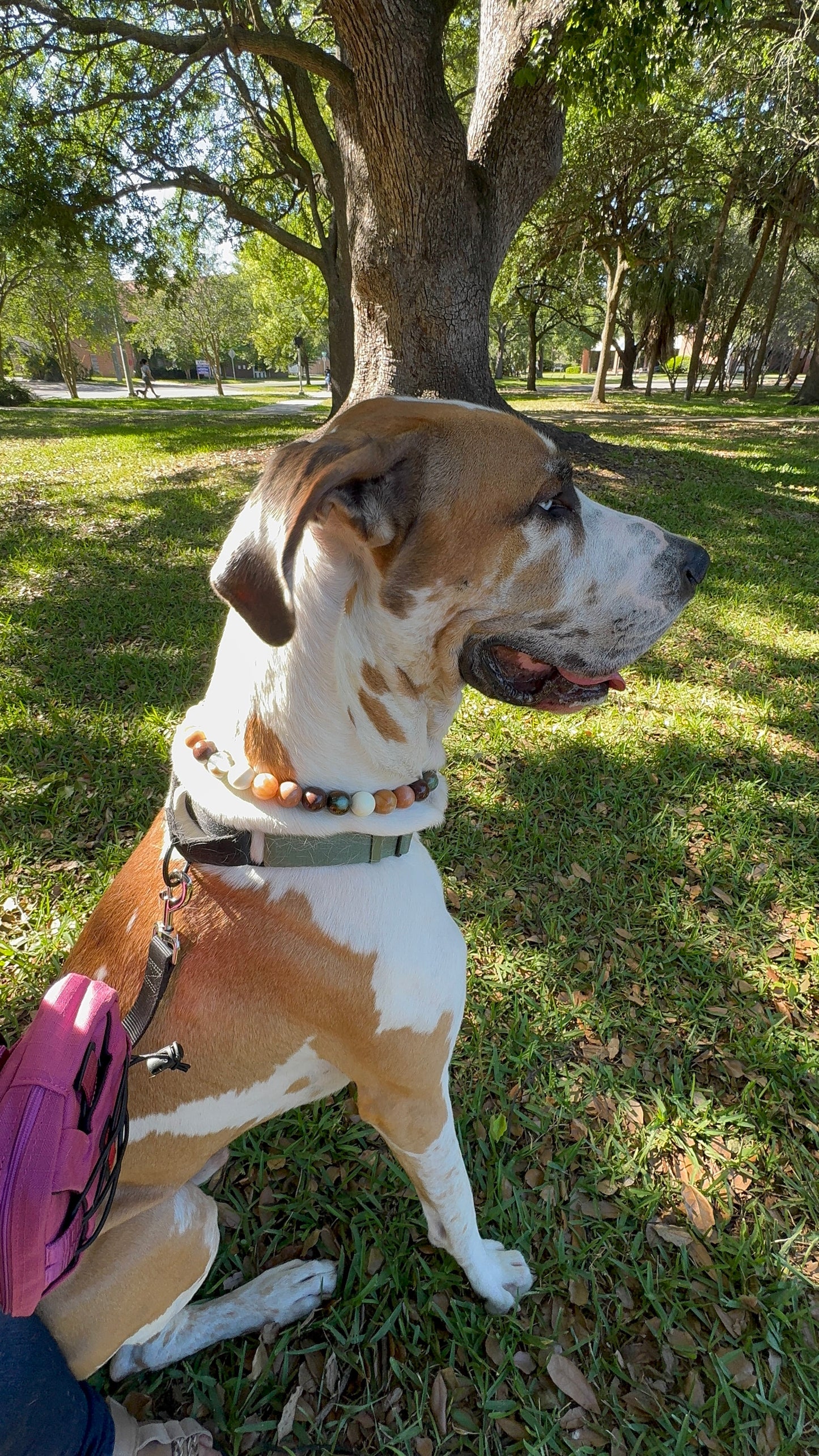 Heimdalls Beaded Collar