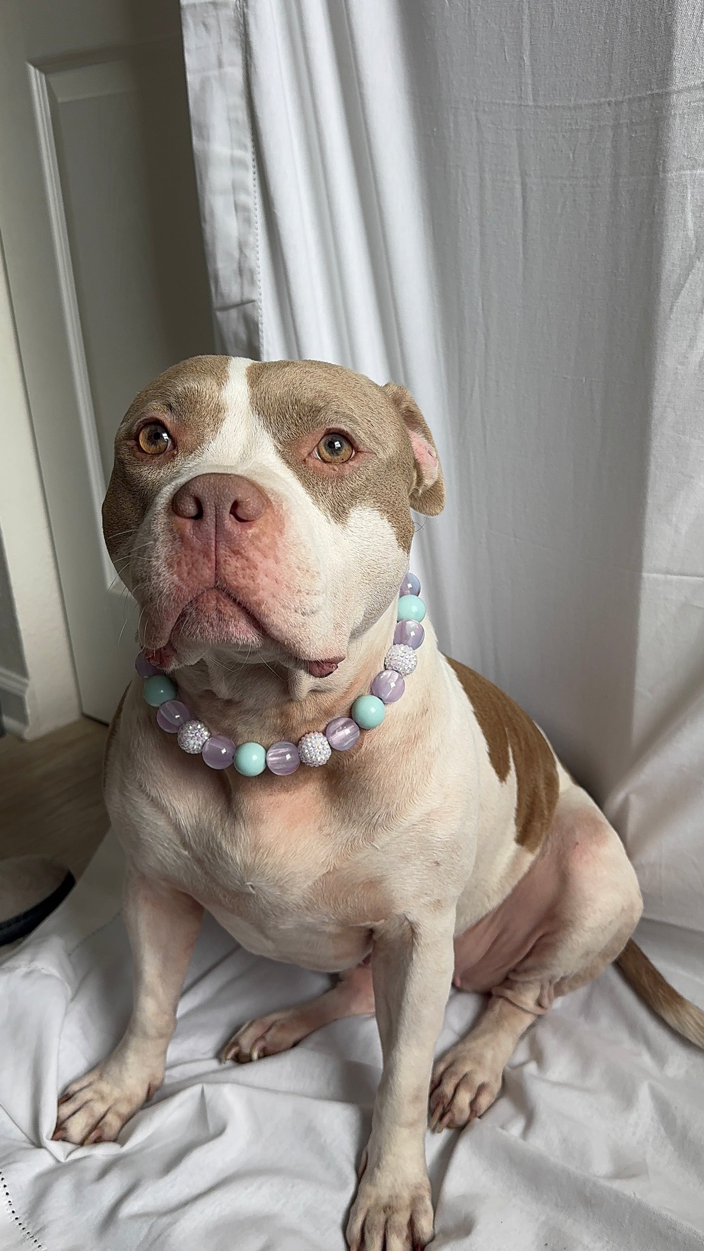 Periwinkle Beaded Collar