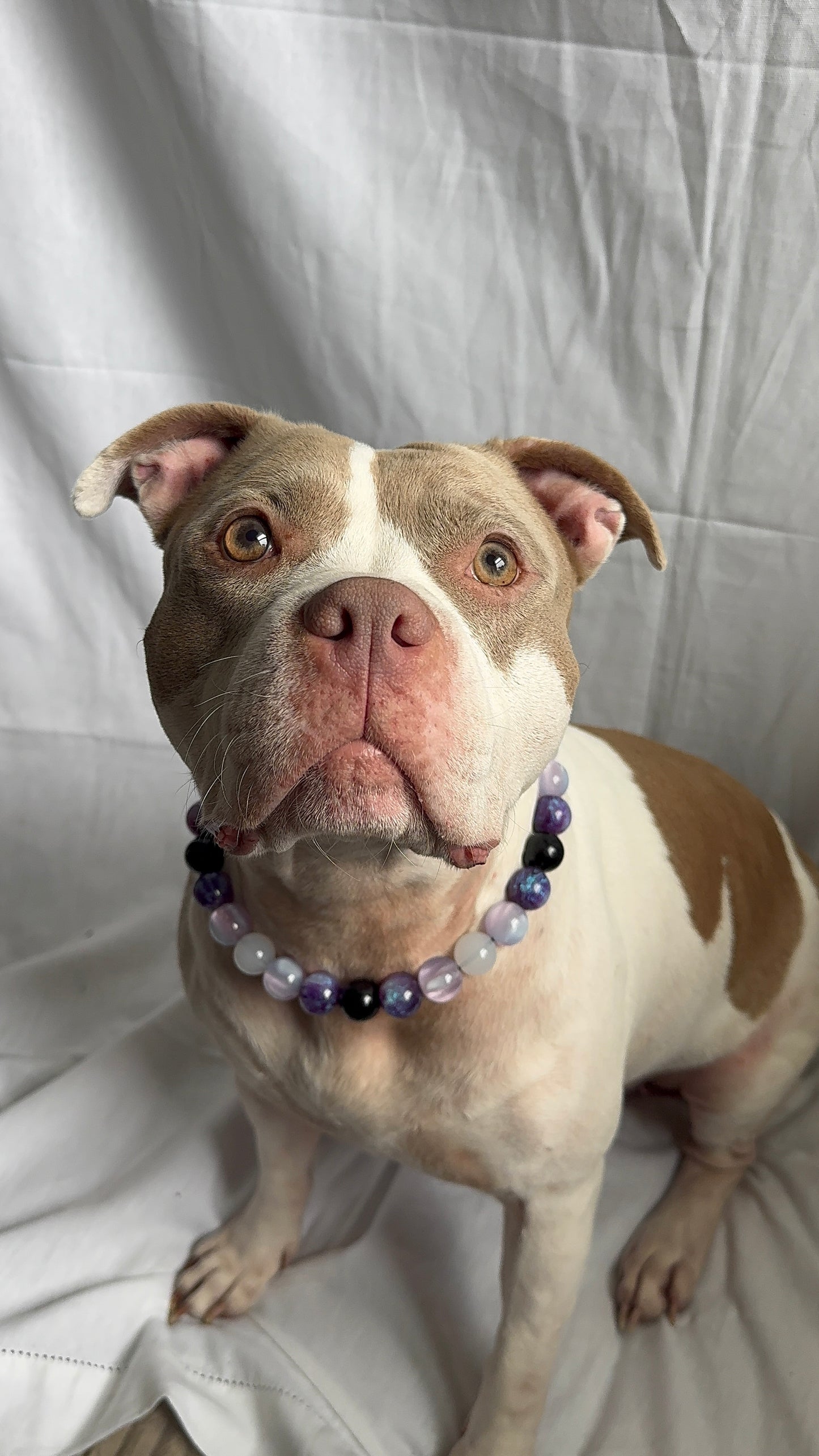 Amethyst Beaded Collar