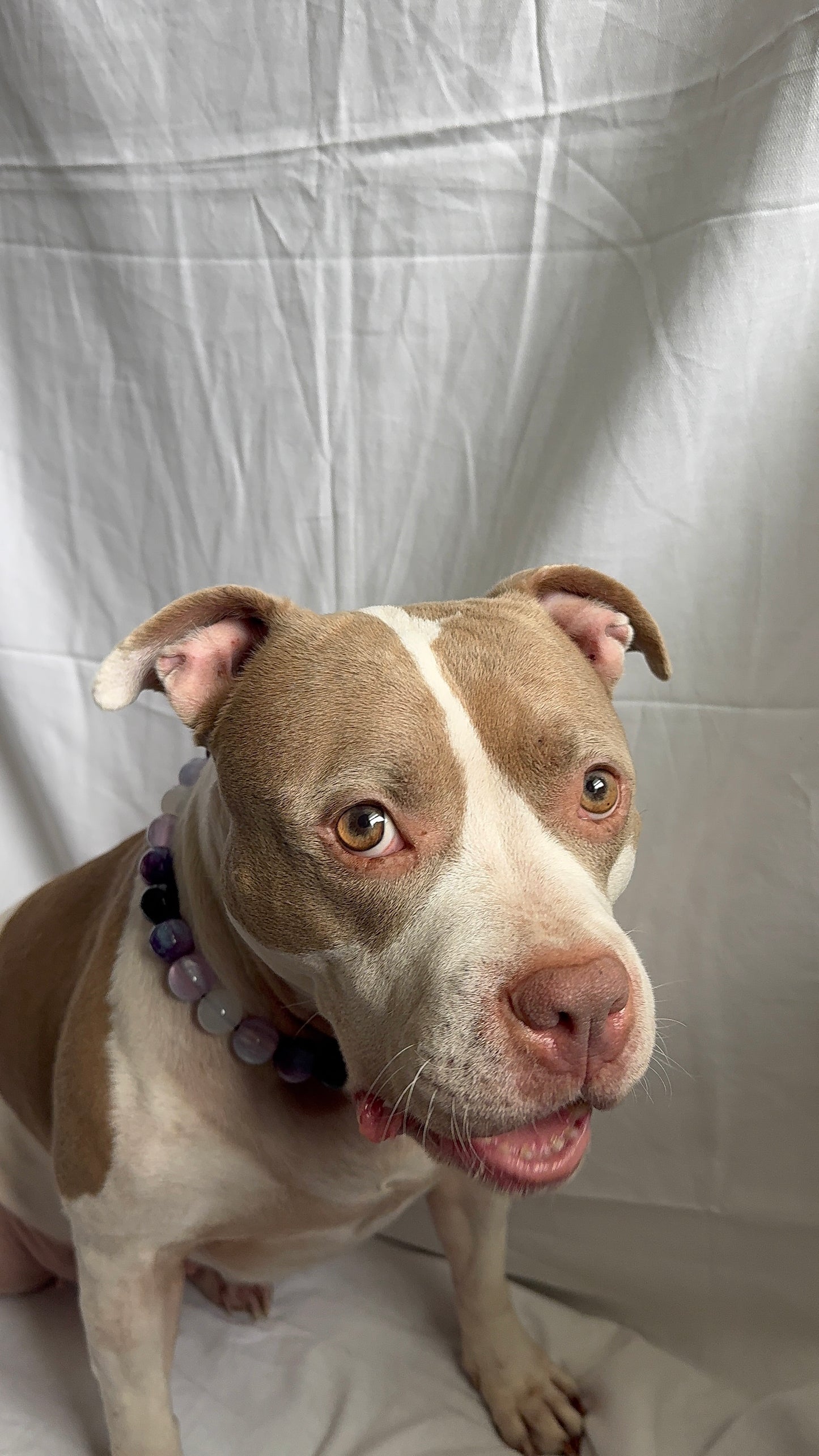 Amethyst Beaded Collar