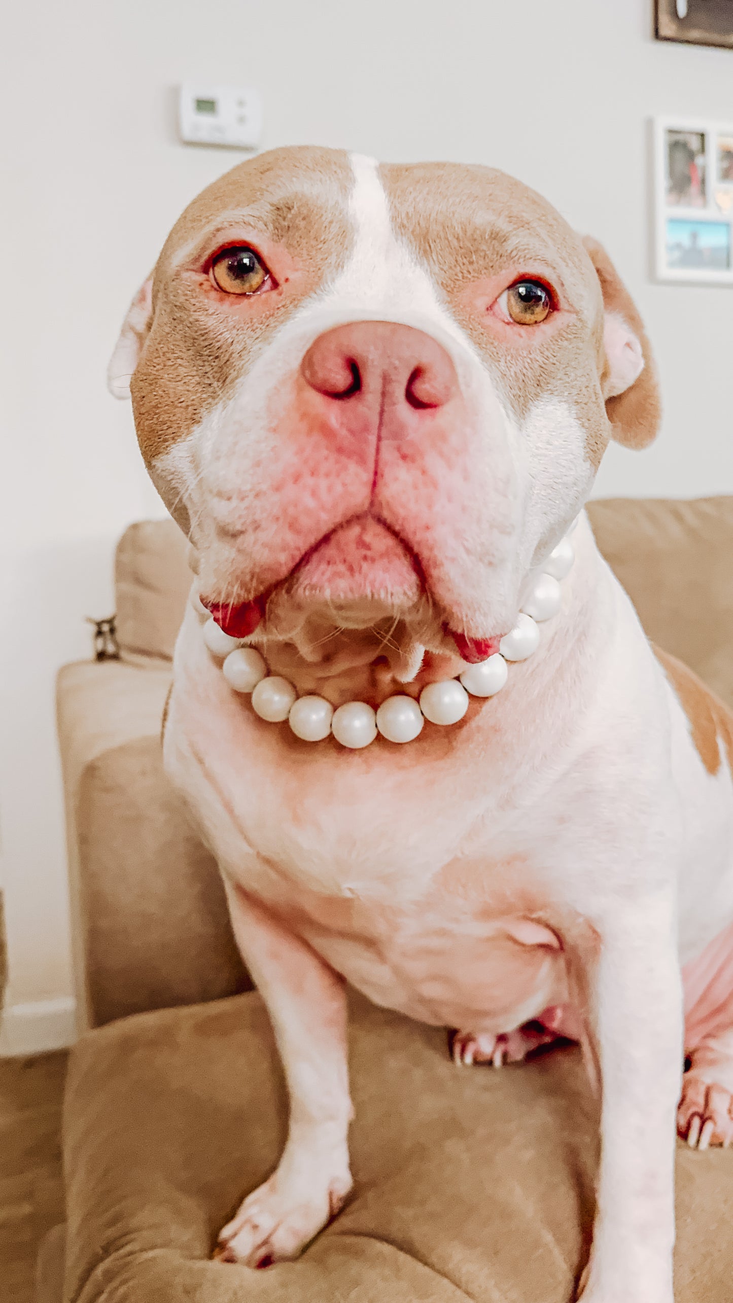 Matte Pearl Beaded Collar