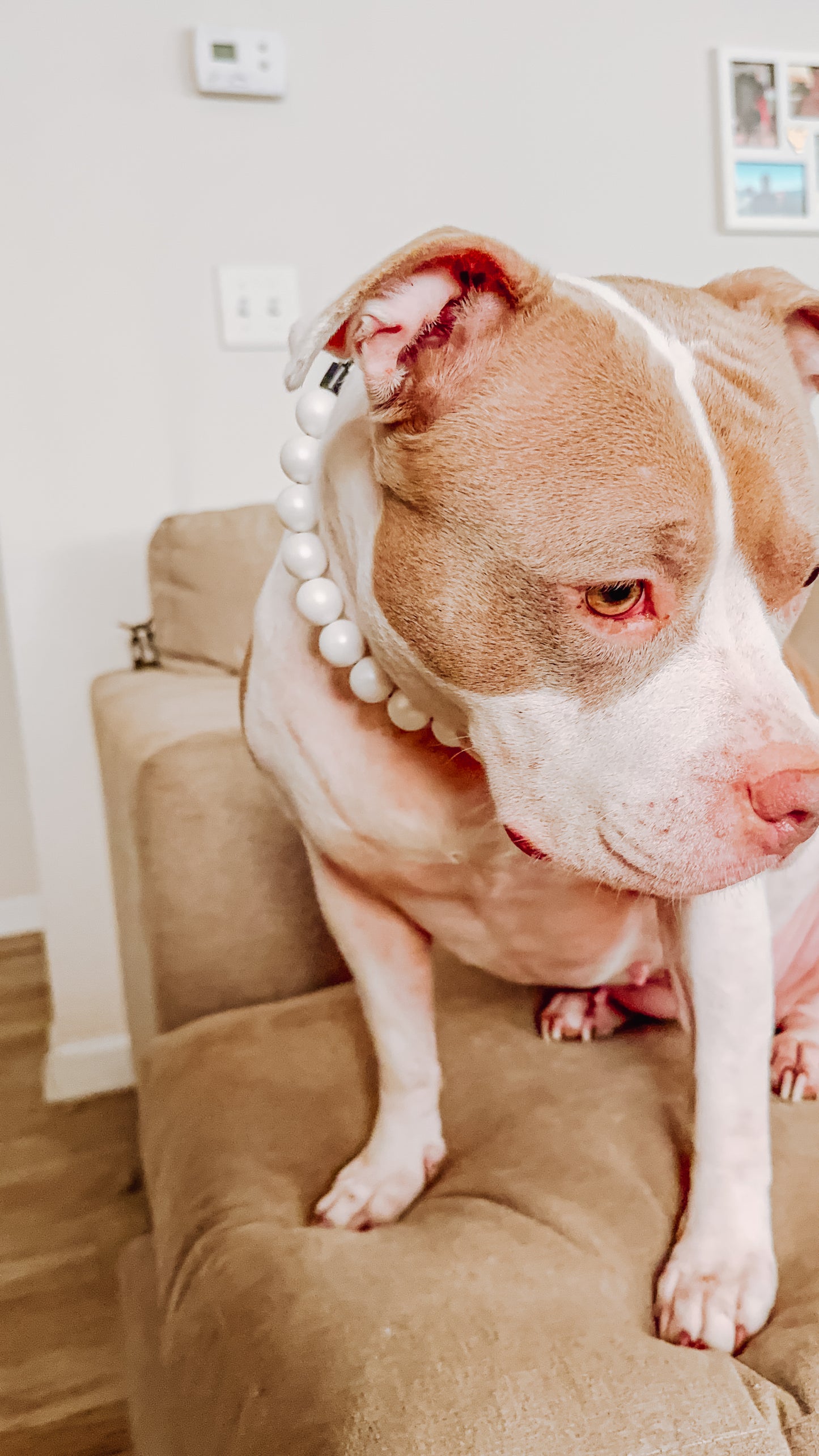 Matte Pearl Beaded Collar