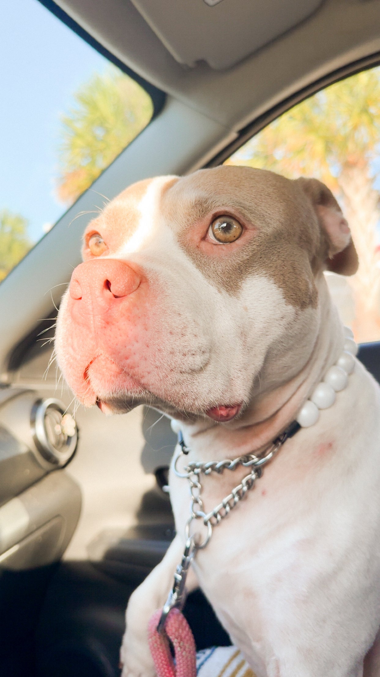 Matte Pearl Beaded Collar