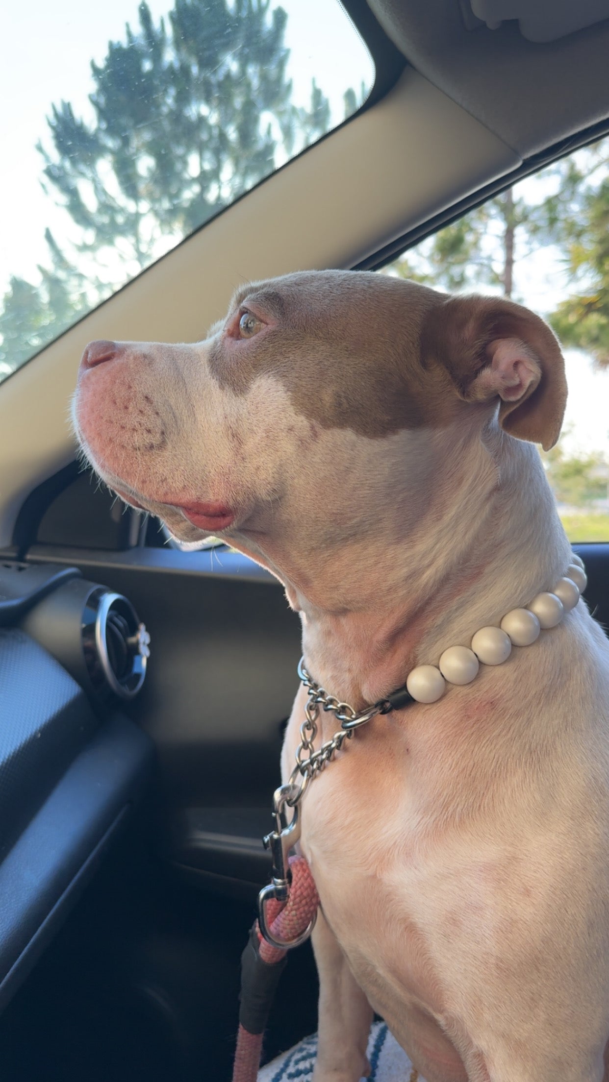 Matte Pearl Beaded Collar