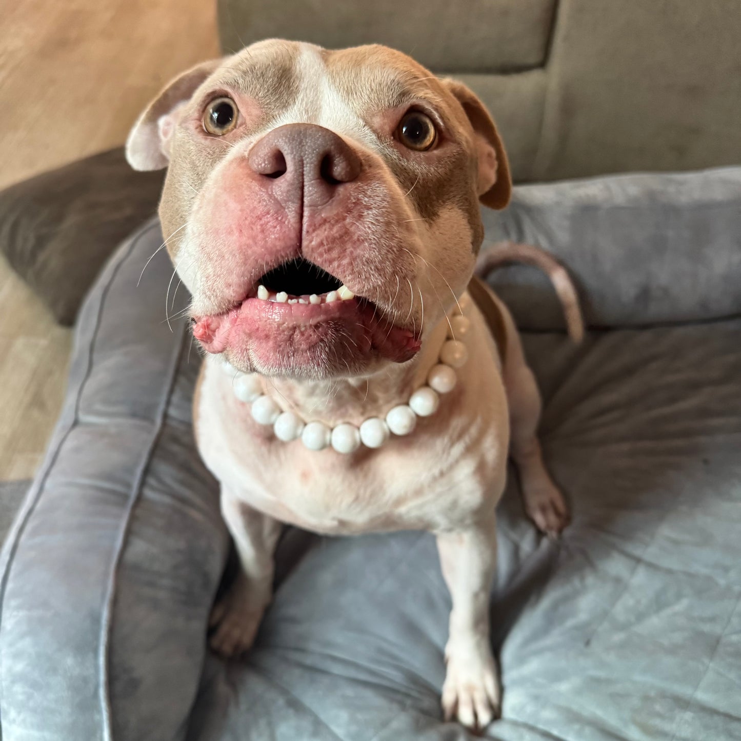 Matte Pearl Beaded Collar