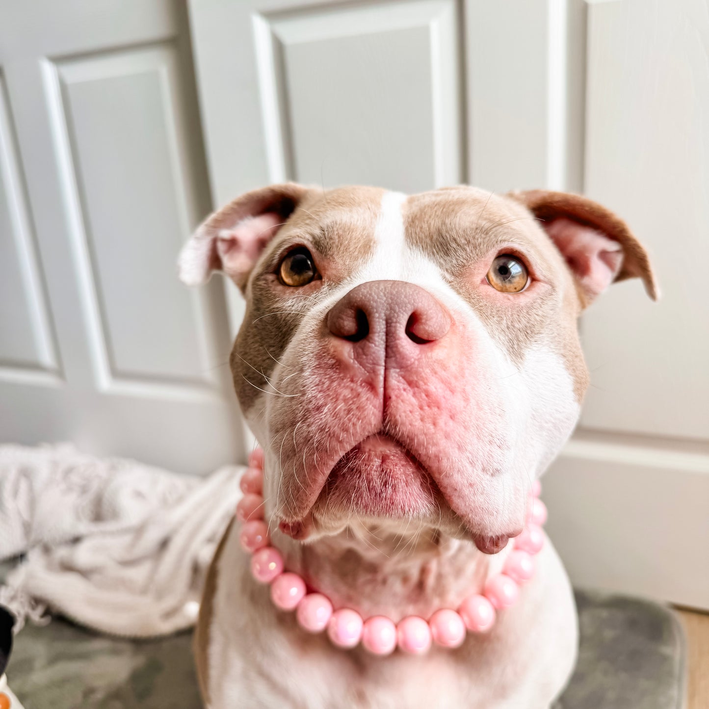 Coral Pink Beaded Collar (20mm)