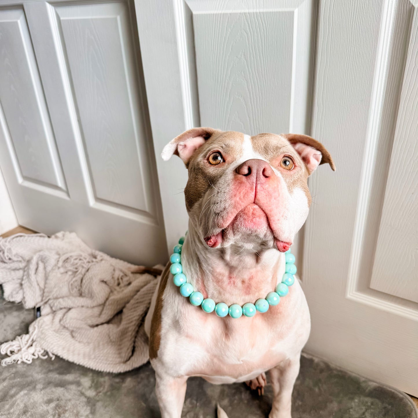 Coral Blue Beaded Collar