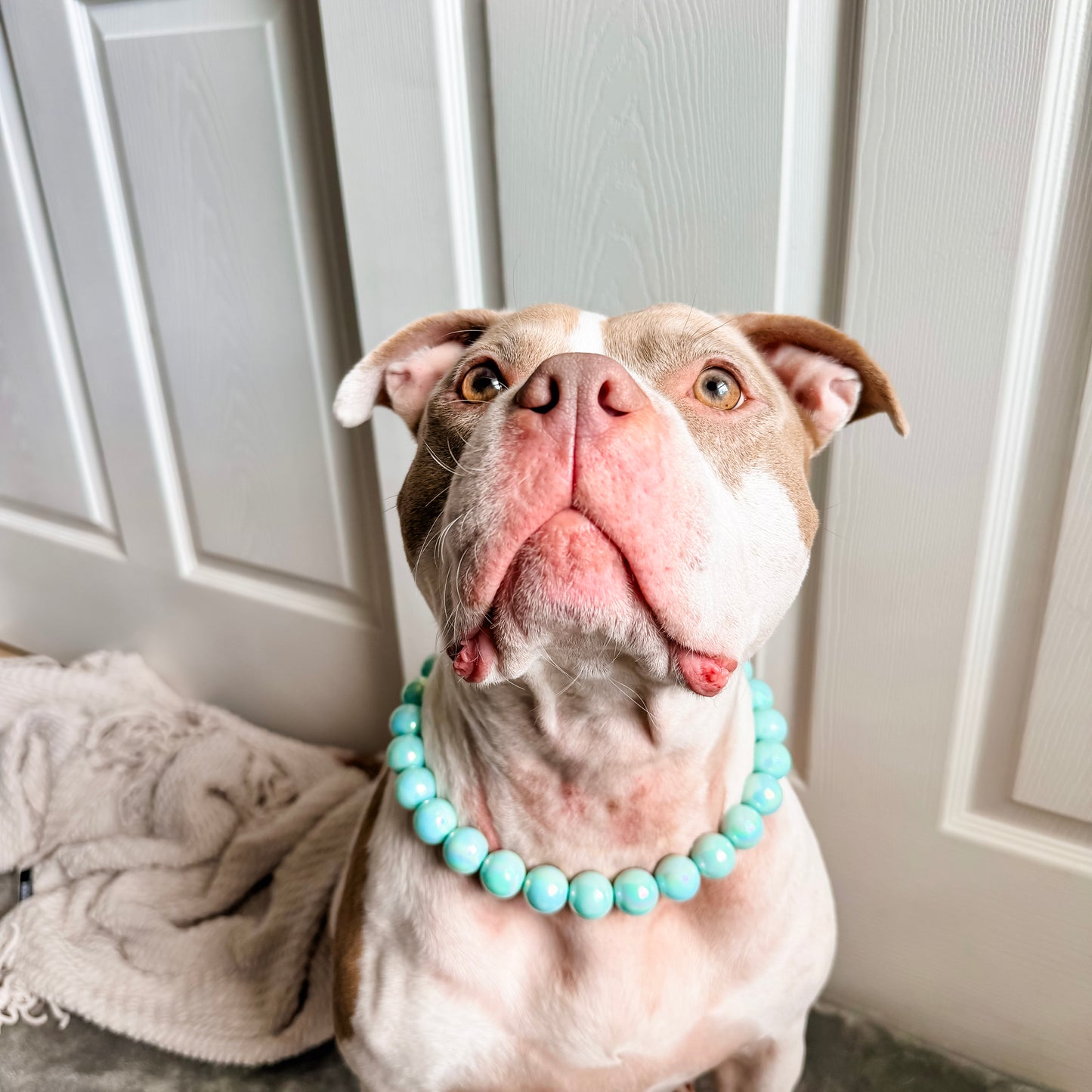 Coral Blue Beaded Collar