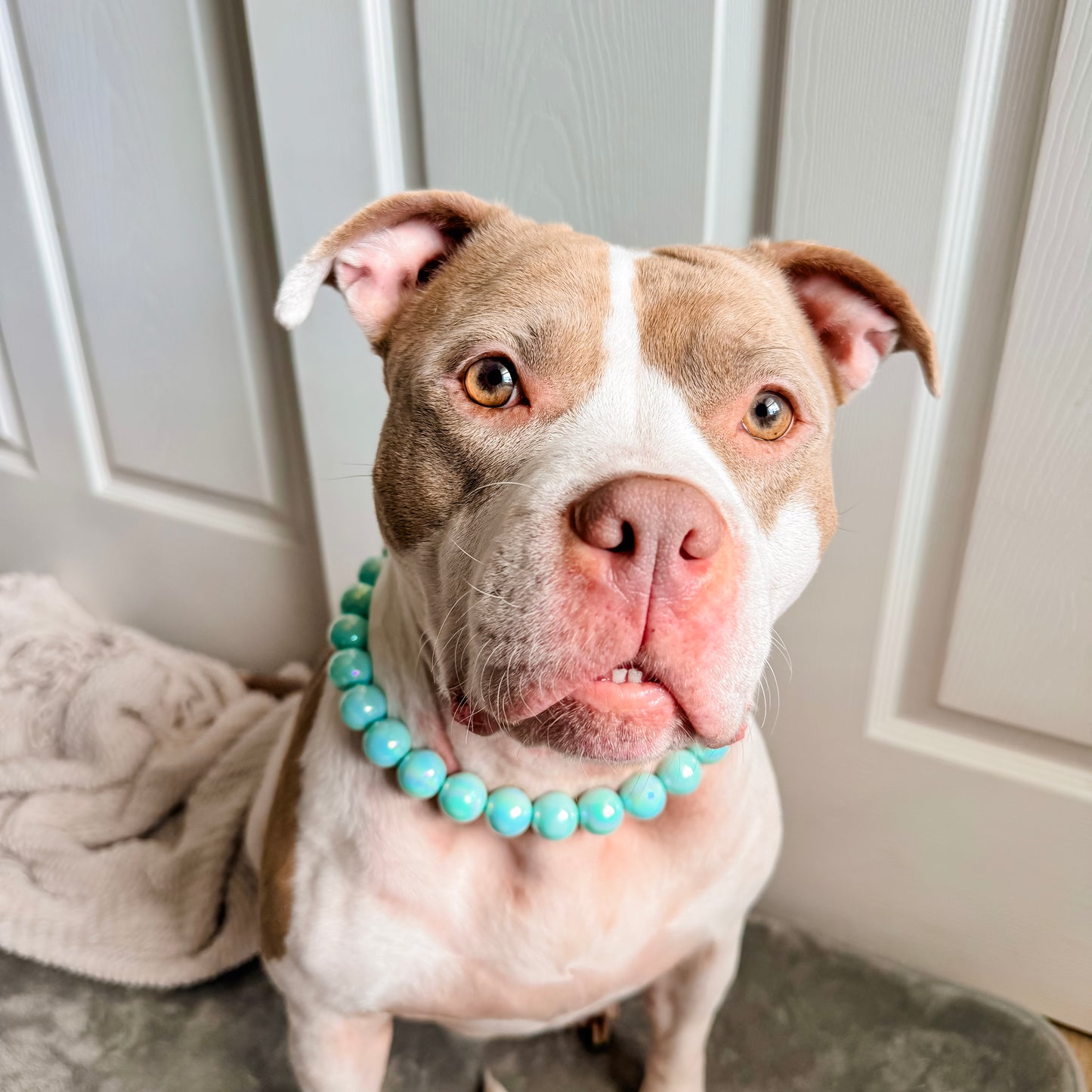 Coral Blue Beaded Collar