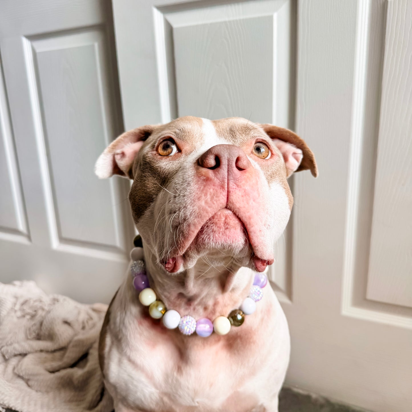 Wisteria Beaded Collar