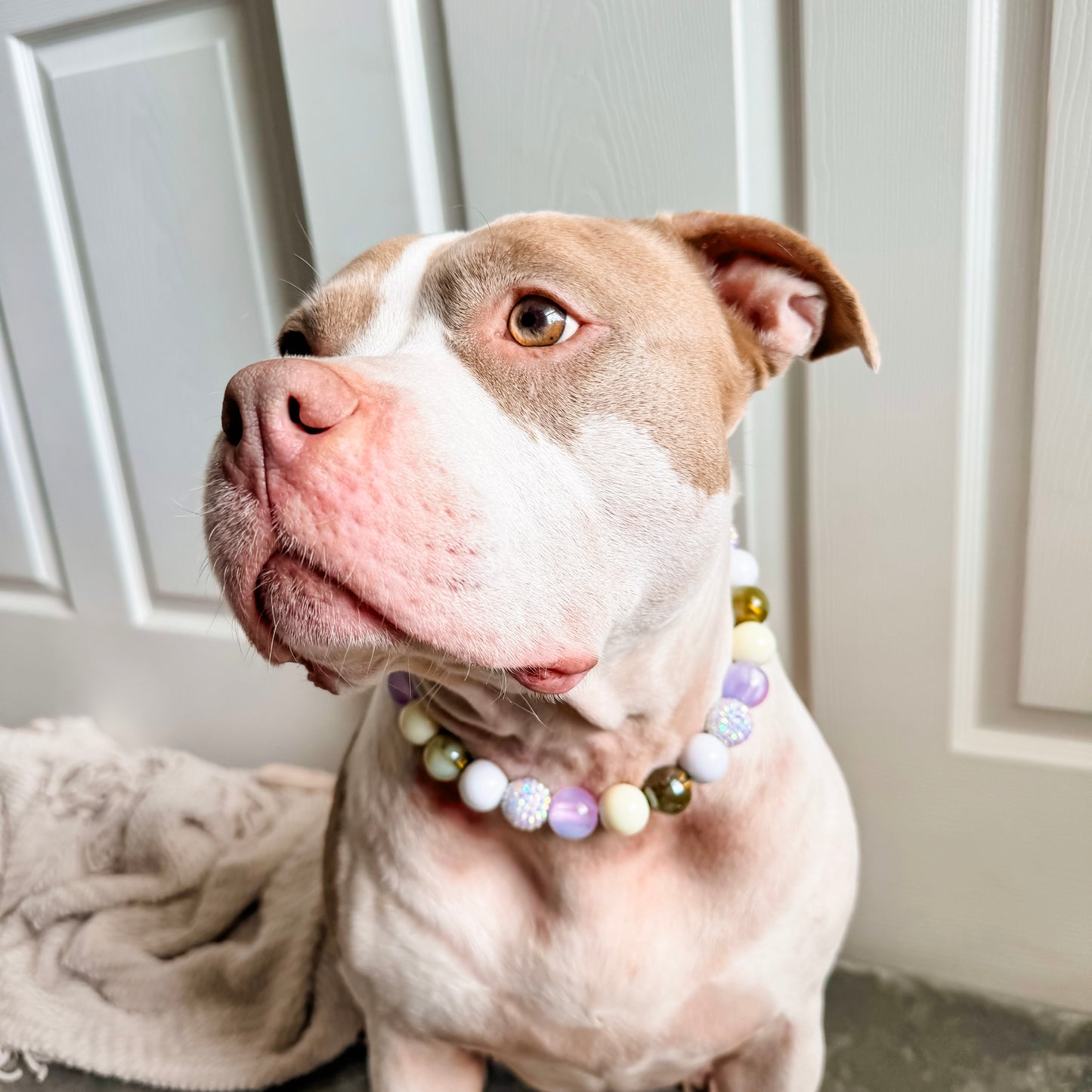 Wisteria Beaded Collar