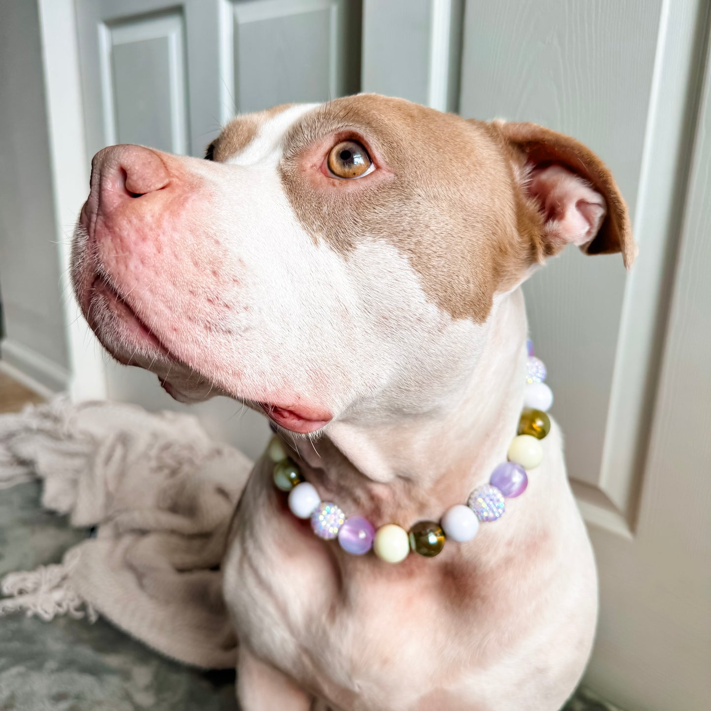 Wisteria Beaded Collar