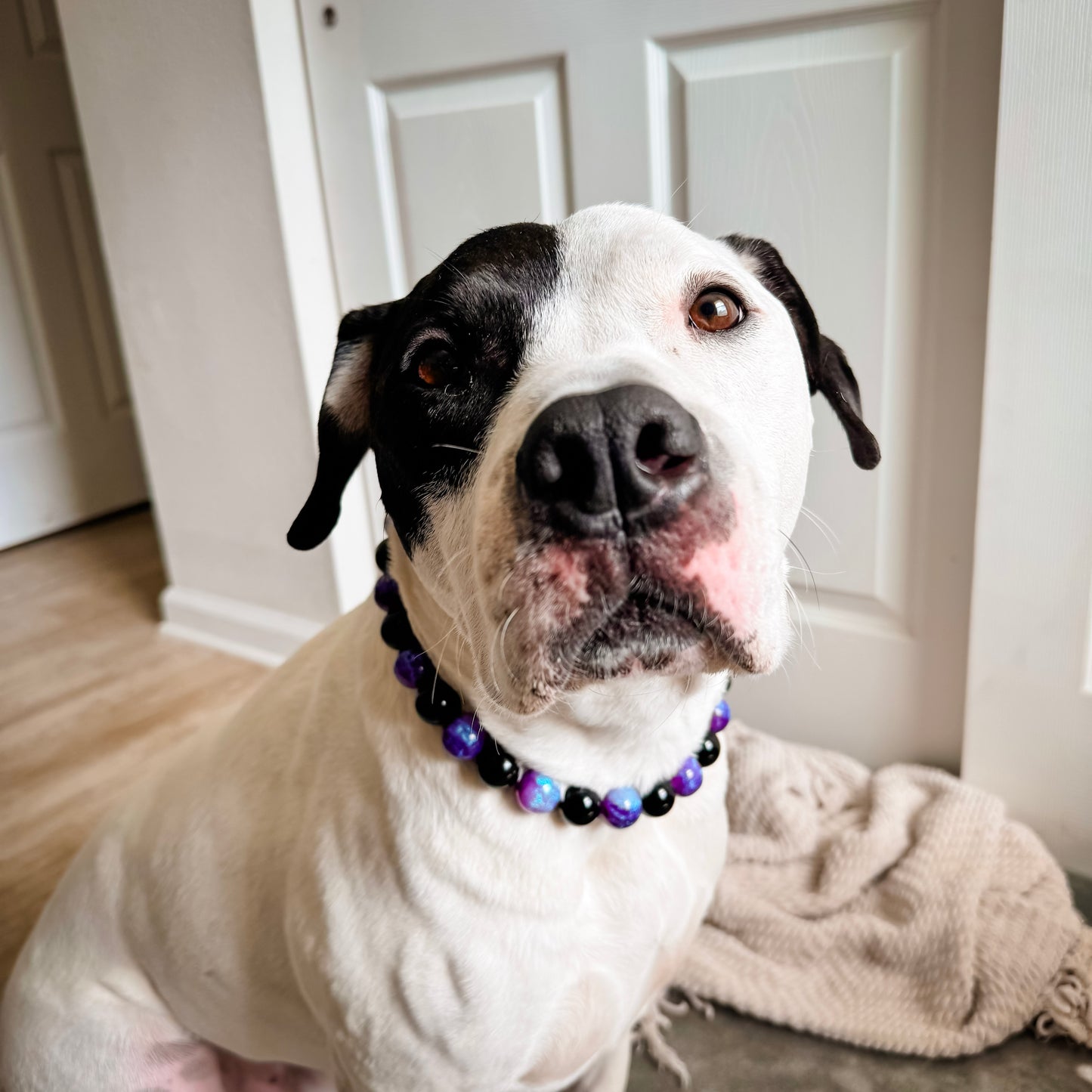 Purple Obsidian Beaded Collar