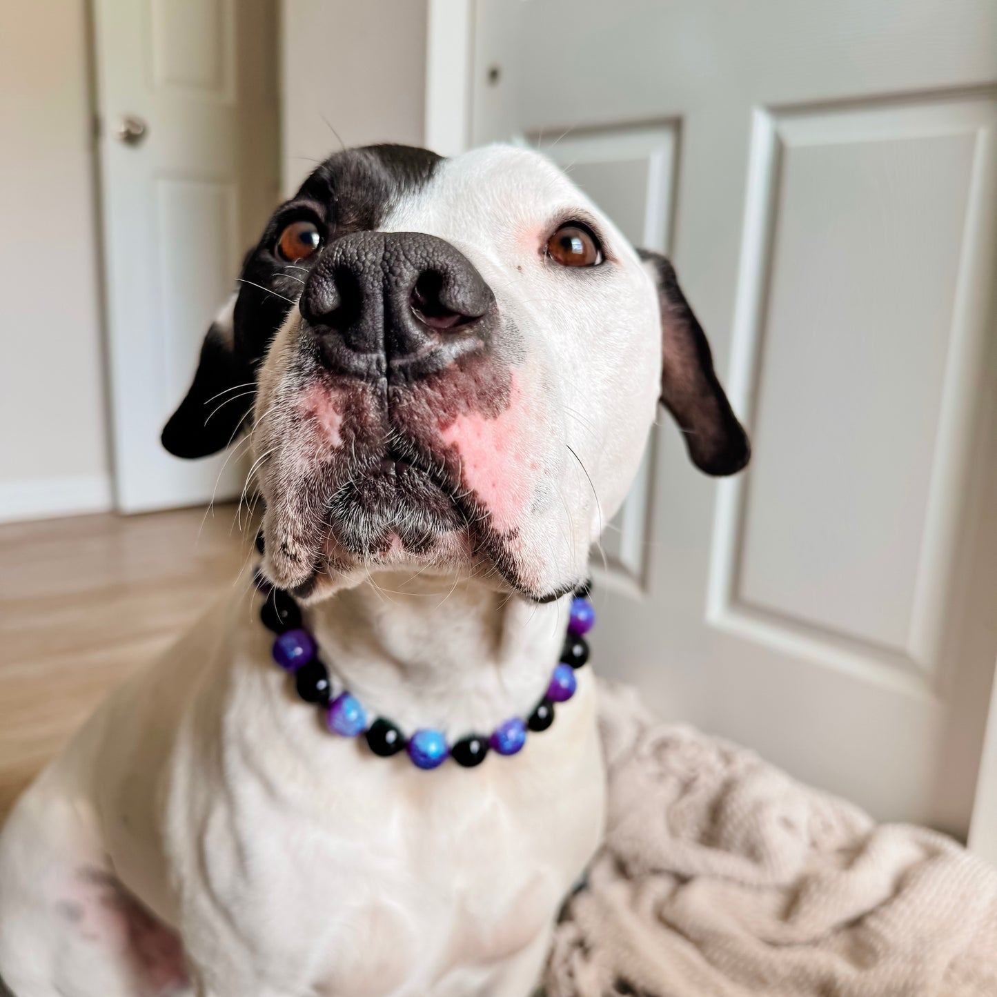 Purple Obsidian Beaded Collar