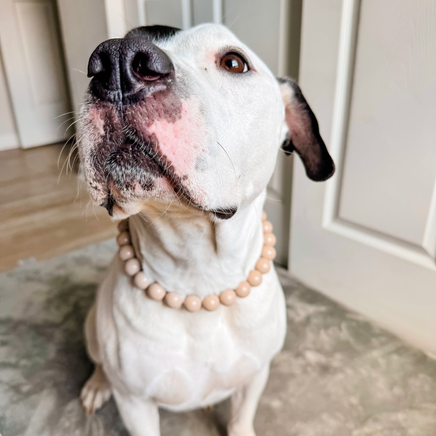 Sandstone Beaded Collar