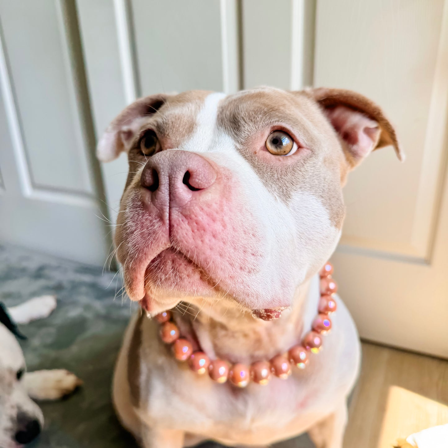 Coral Peach Beaded Collar