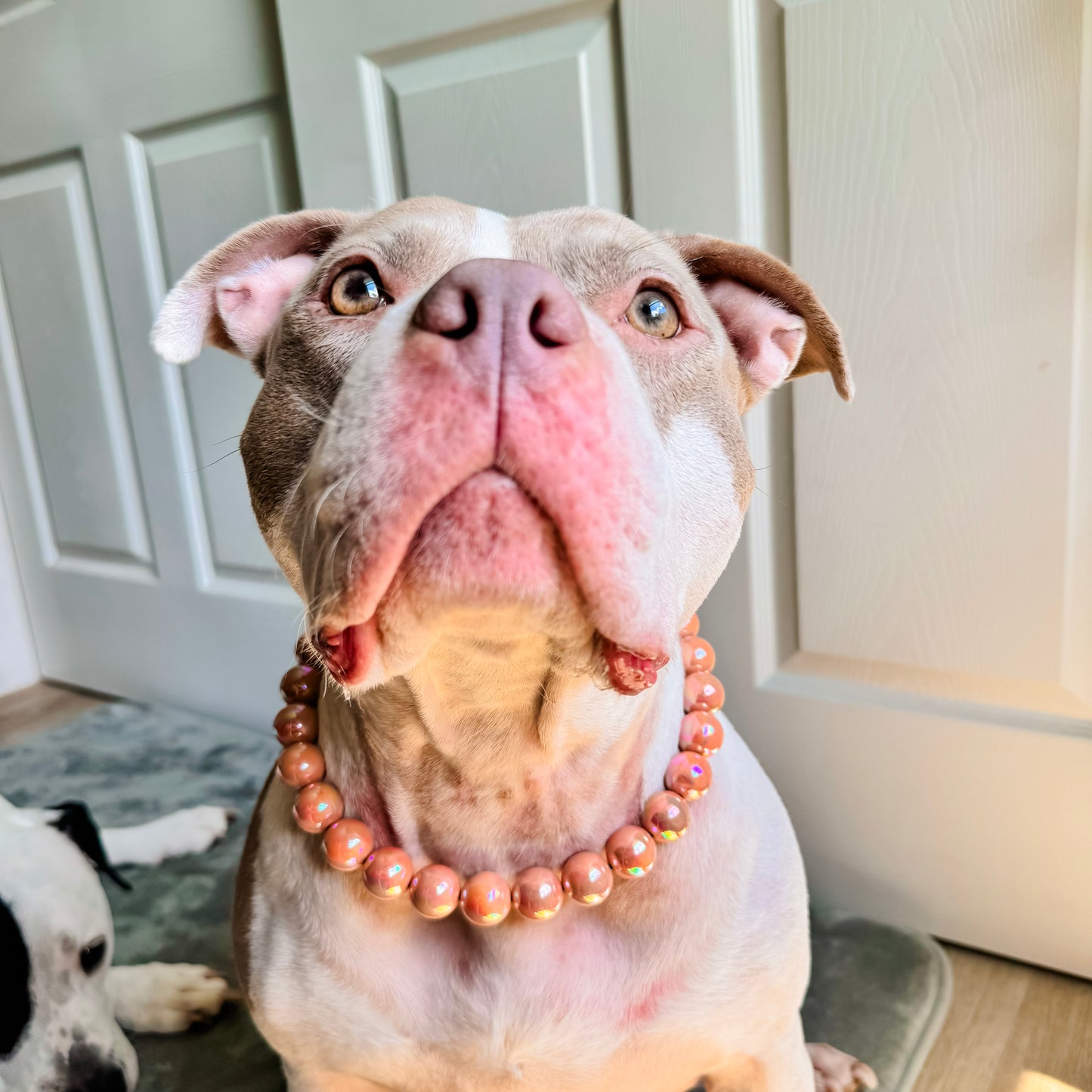 Coral Peach Beaded Collar