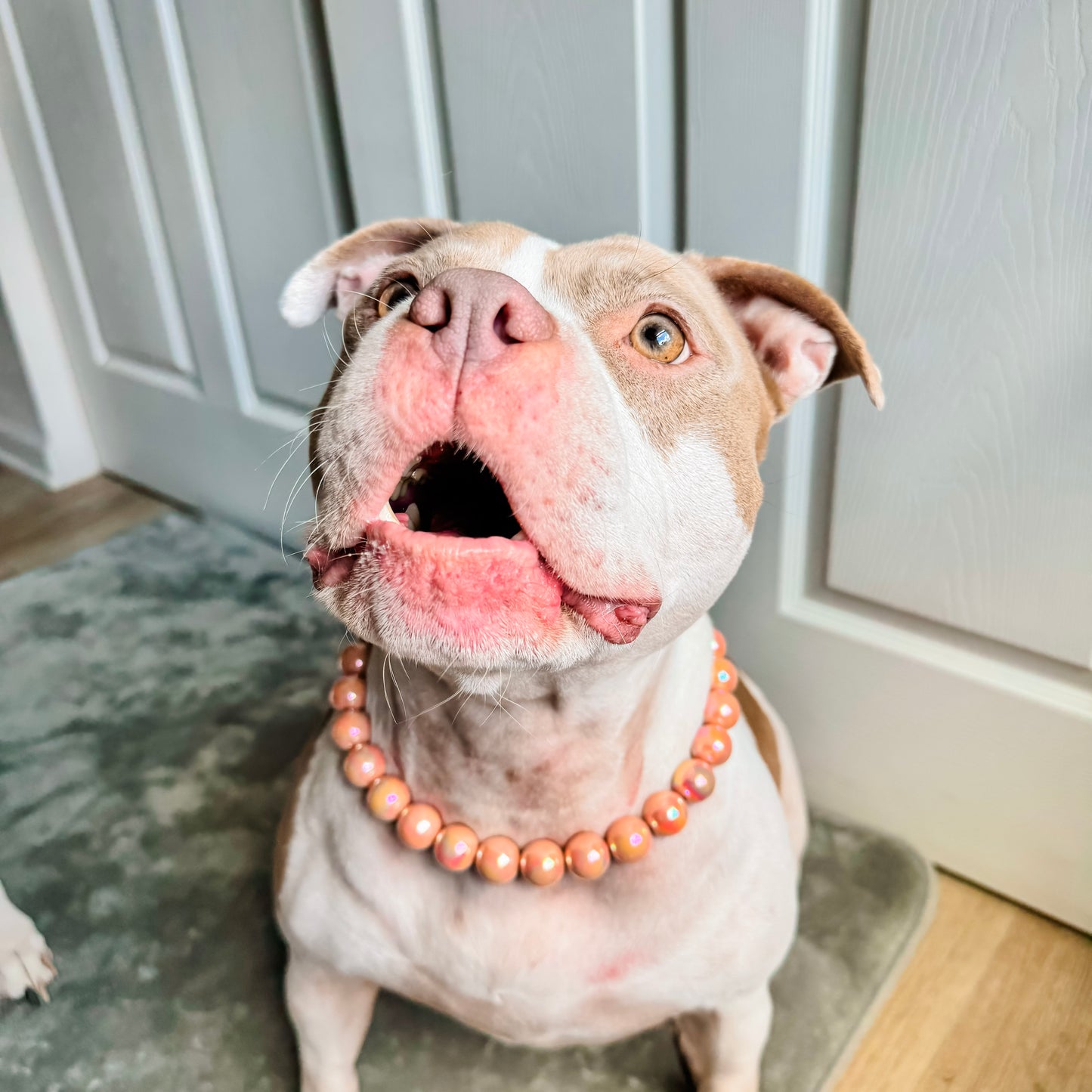 Coral Peach Beaded Collar