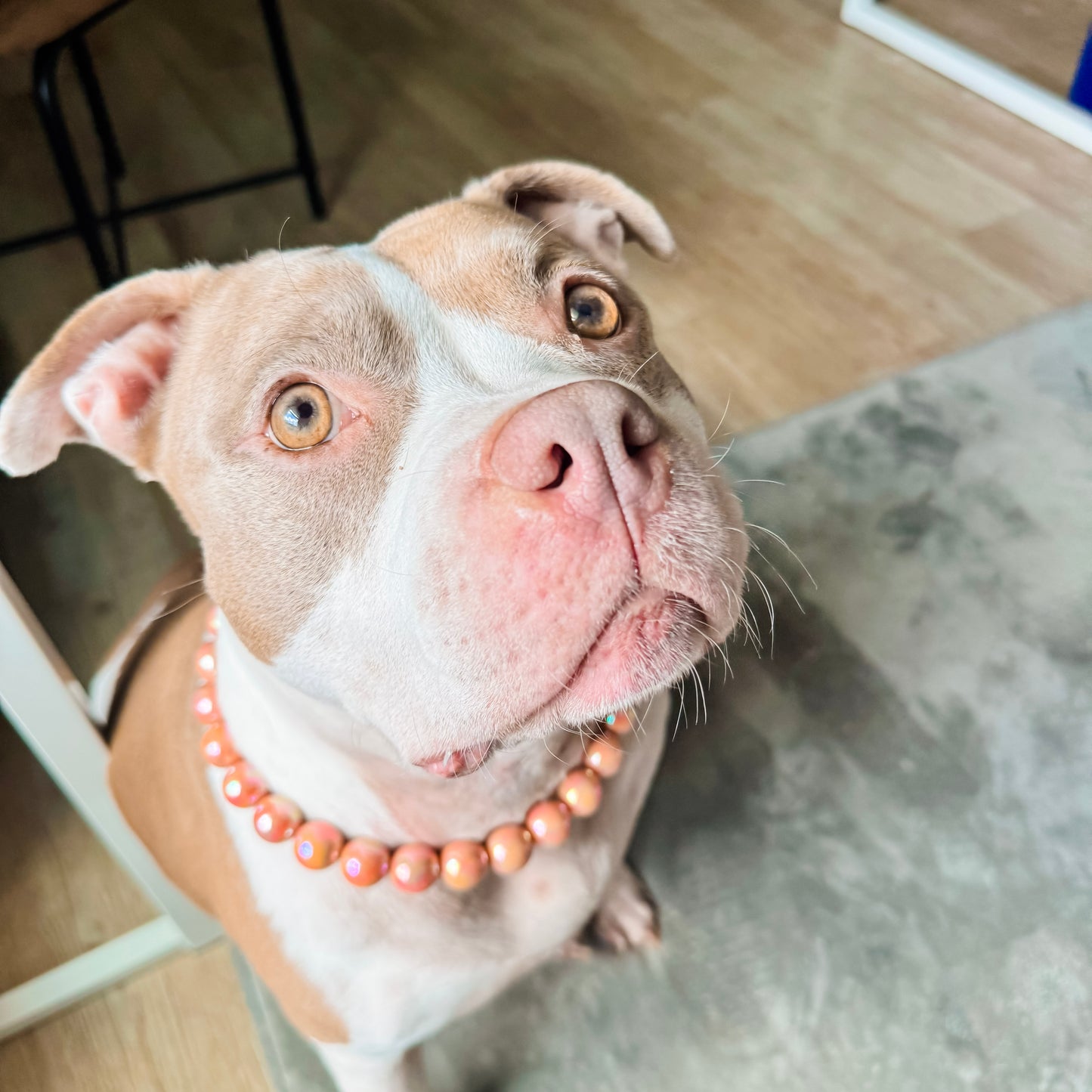 Coral Peach Beaded Collar