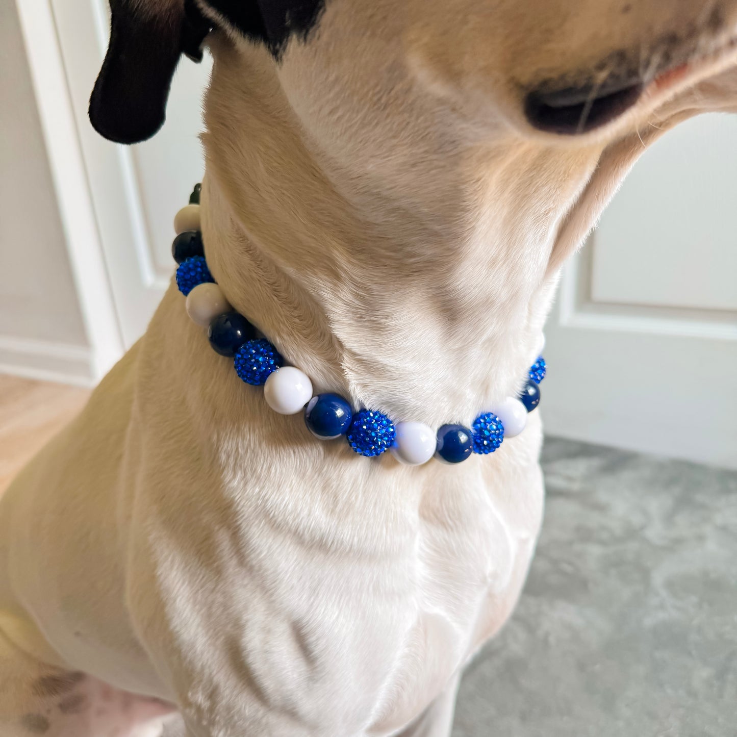 Blue Jay Beaded Collar