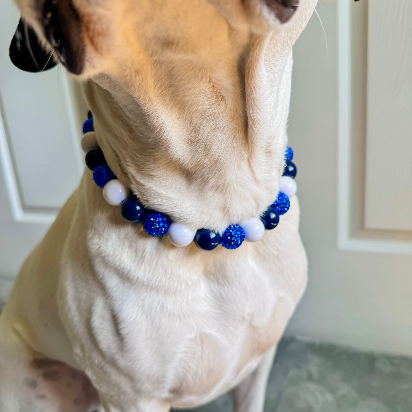 Blue Jay Beaded Collar