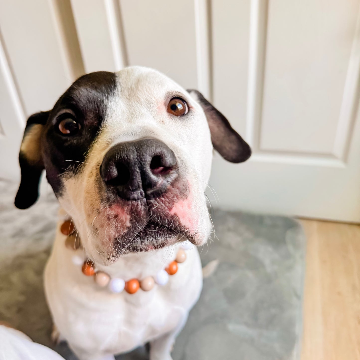 Nassau Beaded Collar