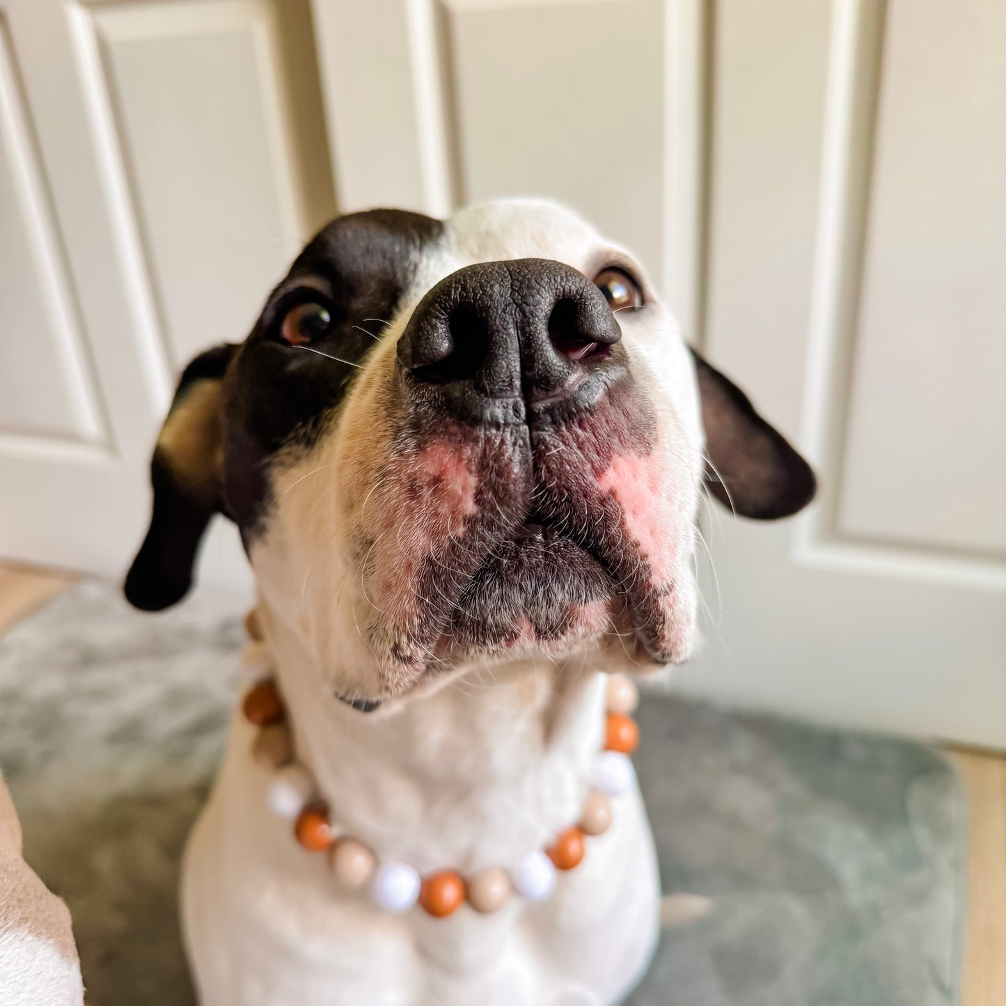 Nassau Beaded Collar