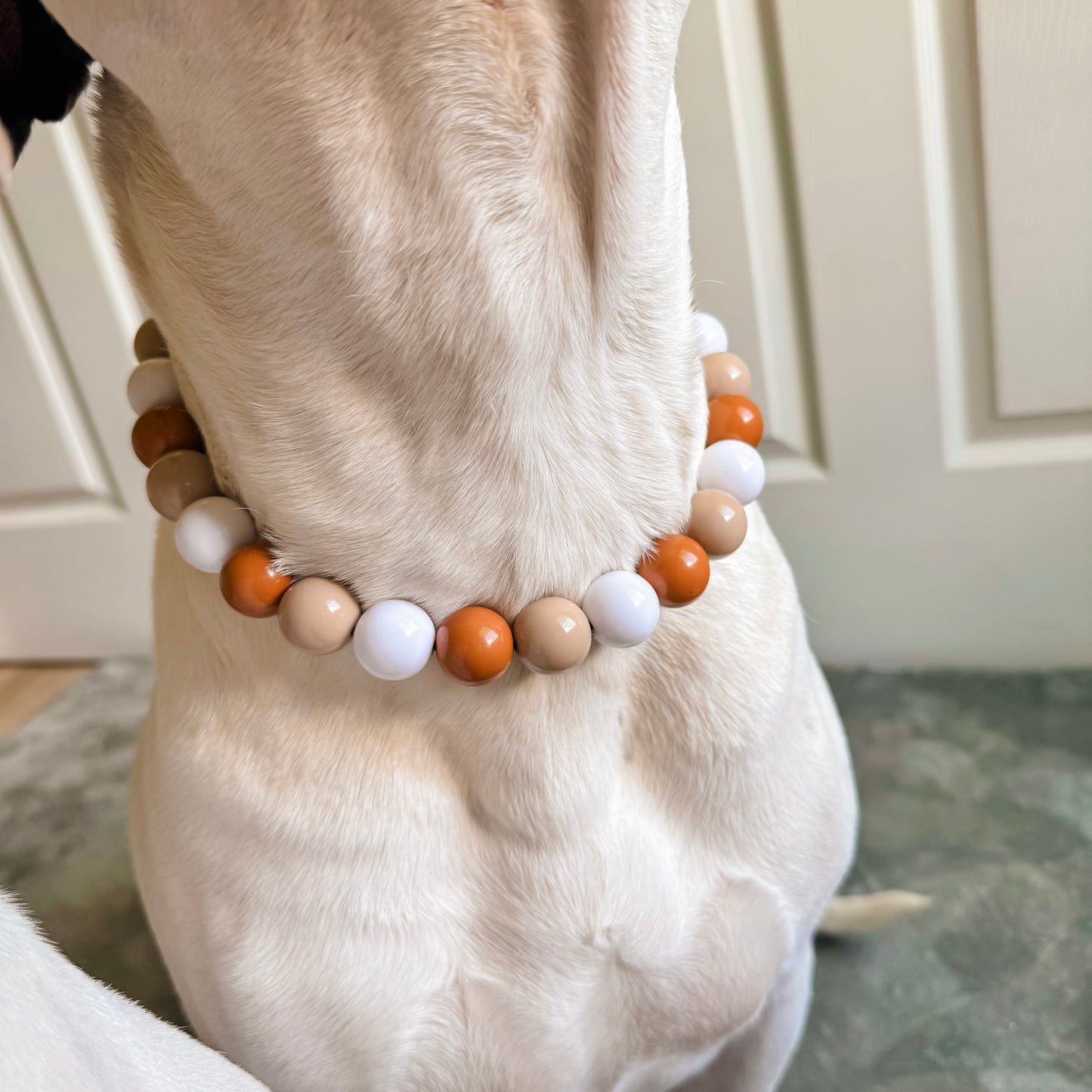 Nassau Beaded Collar