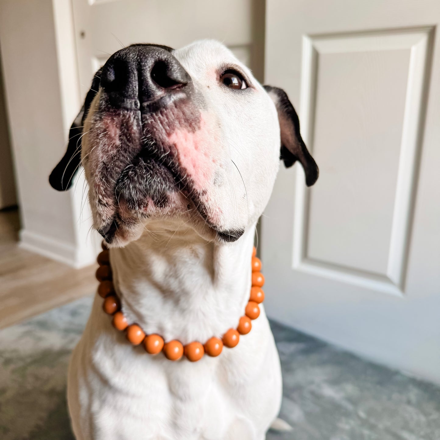 Morenci Beaded Collar