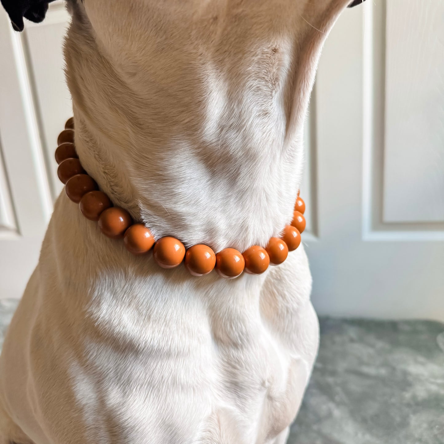 Morenci Beaded Collar