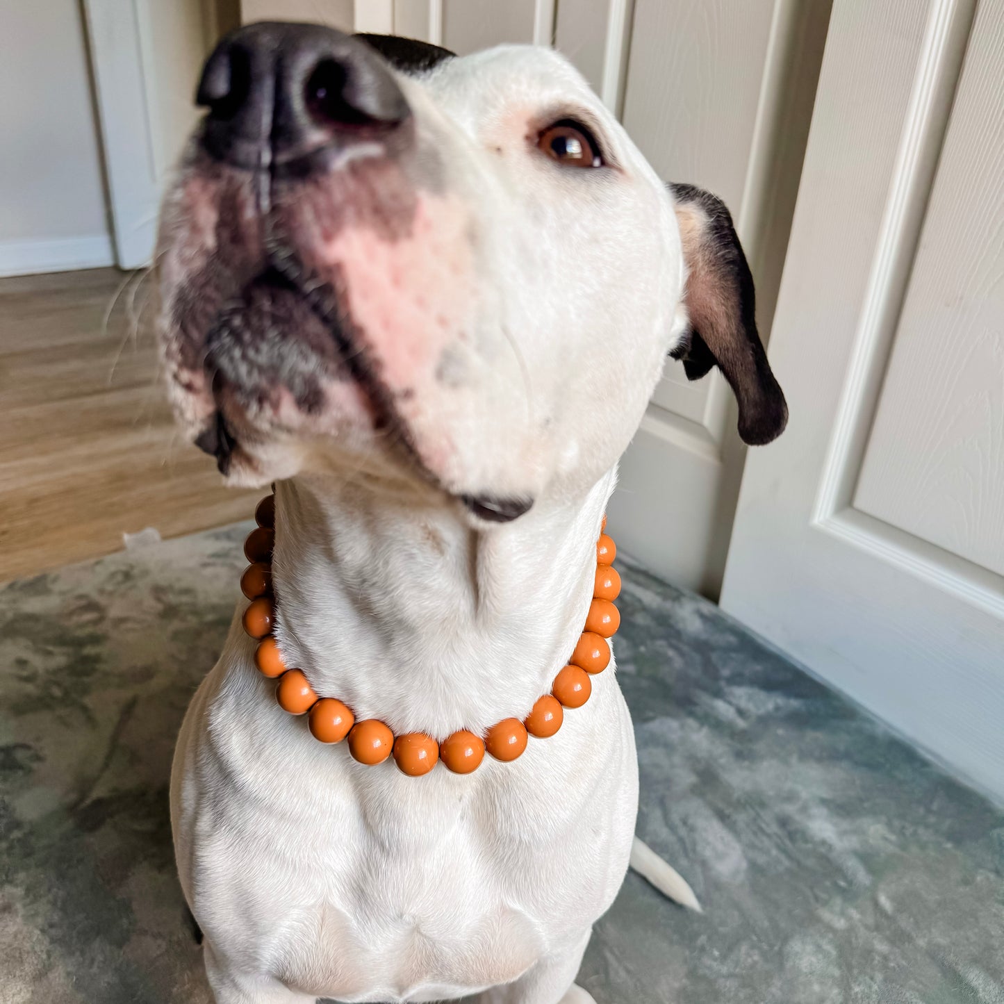 Morenci Beaded Collar