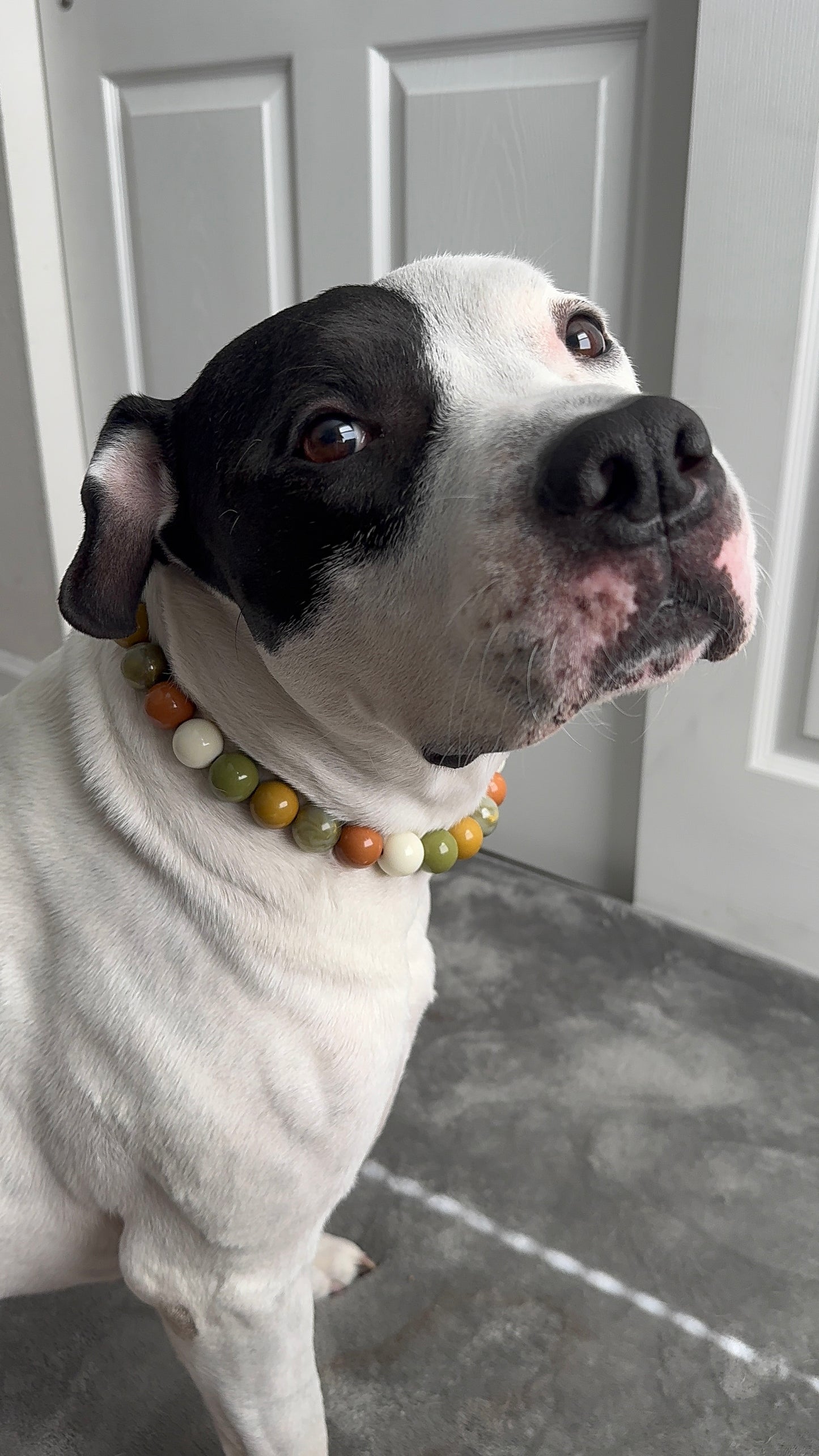Green Mountain Beaded Collar