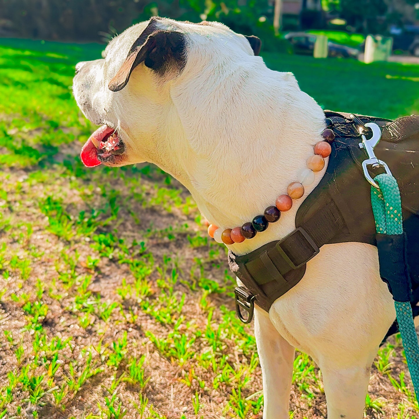 Coffee Melt Beaded Collar