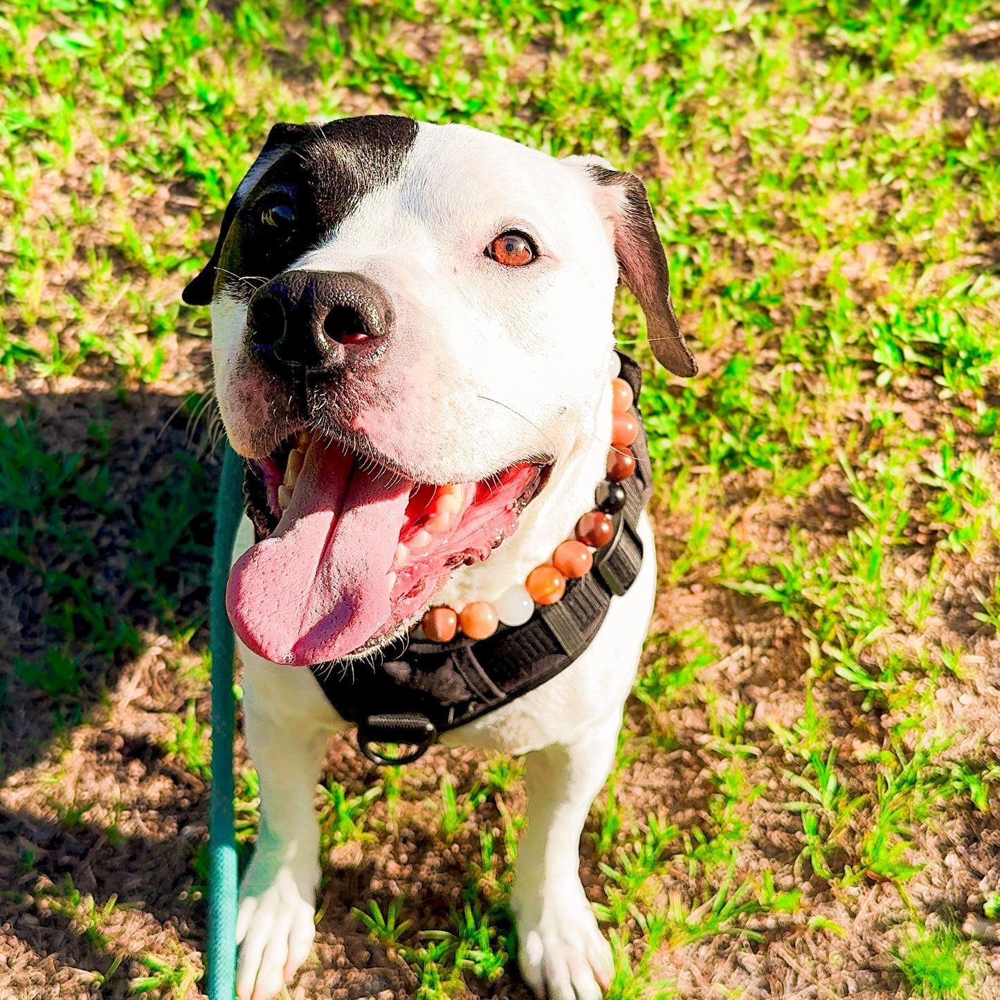 Coffee Melt Beaded Collar