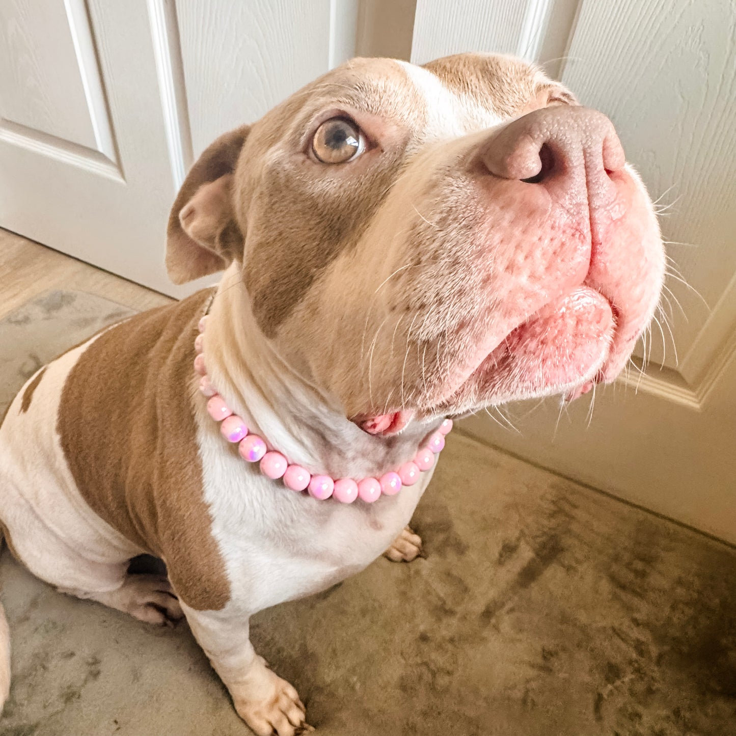 Coral Pink Beaded Collar (16mm)