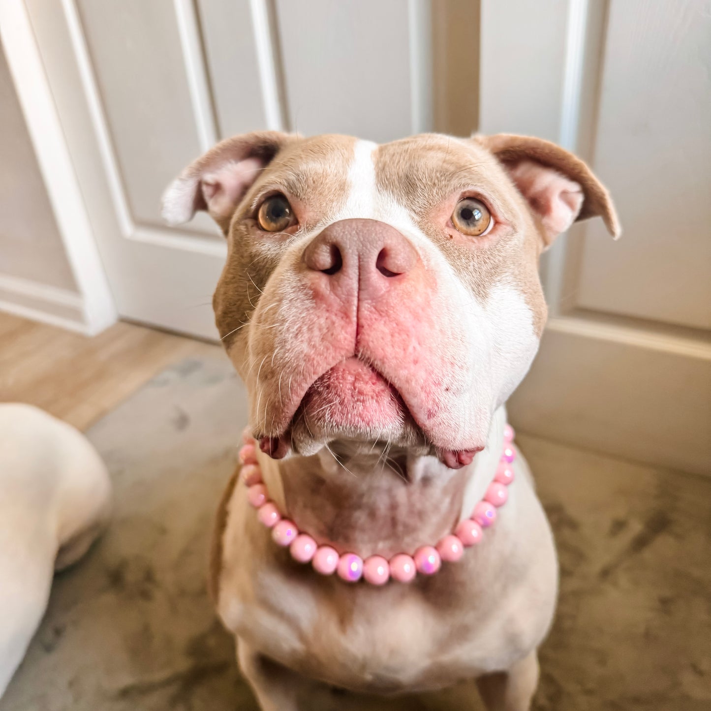 Coral Pink Beaded Collar (16mm)