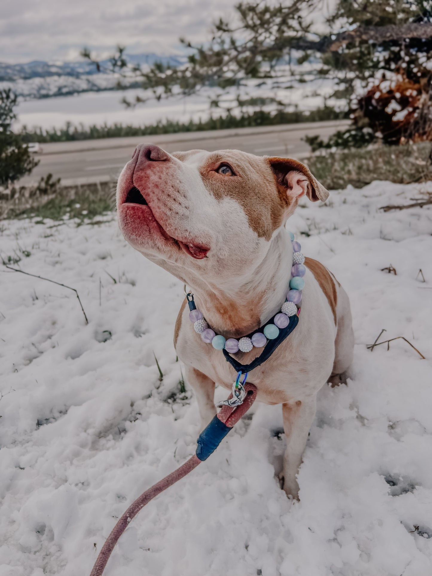Periwinkle Beaded Collar