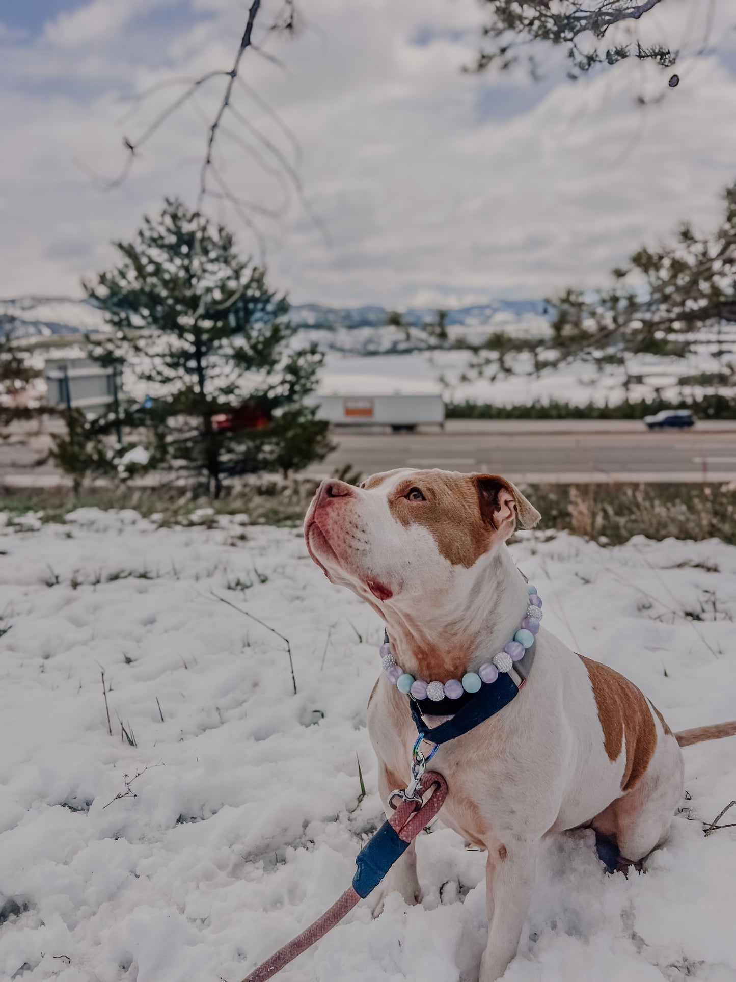 Periwinkle Beaded Collar