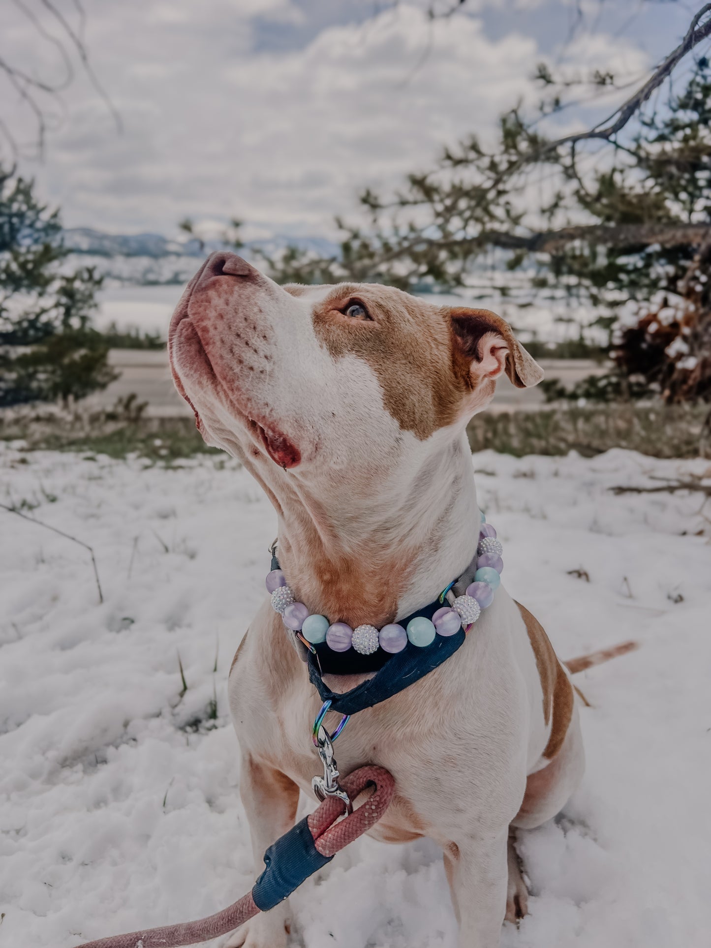 Periwinkle Beaded Collar