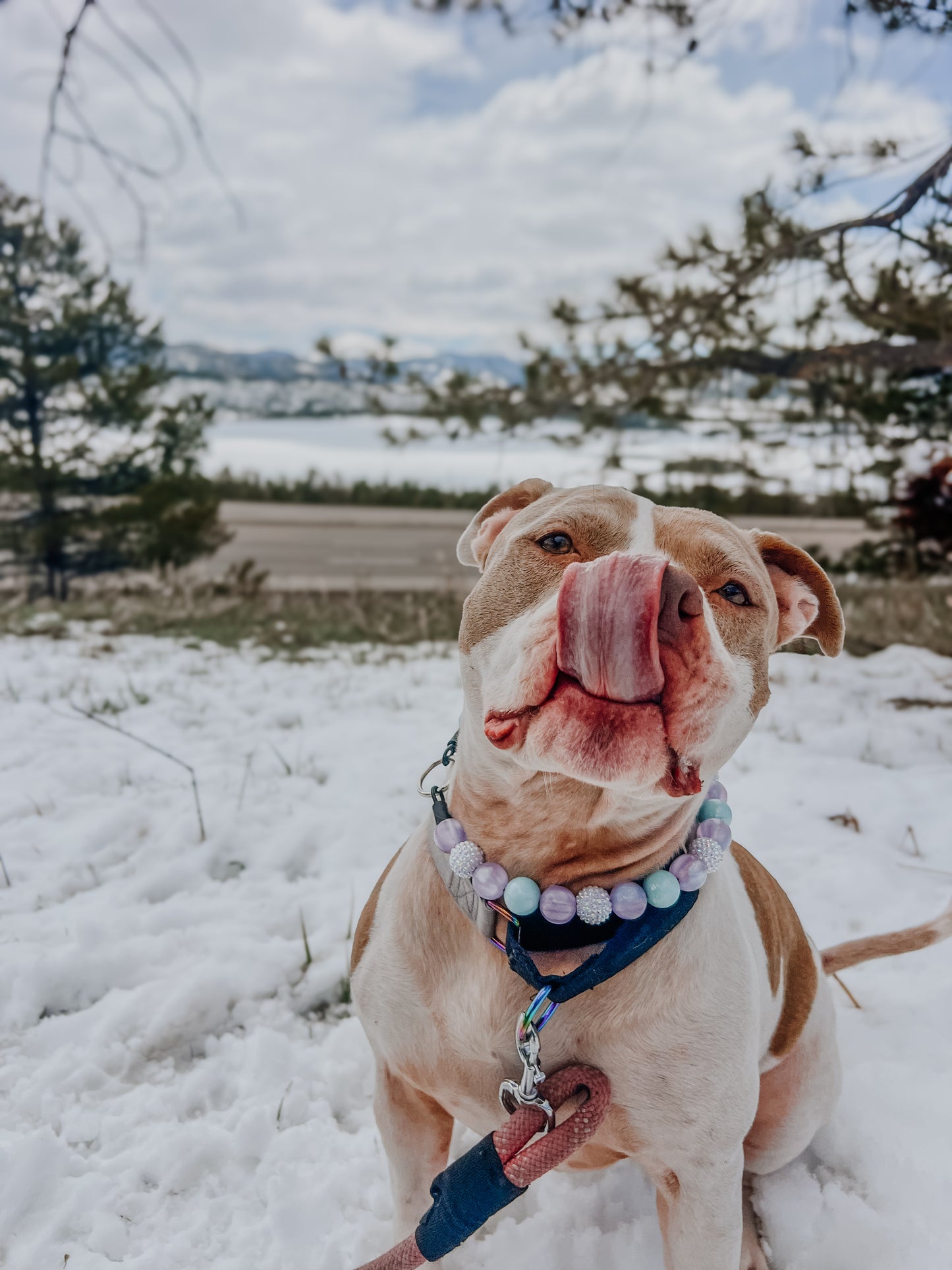 Periwinkle Beaded Collar
