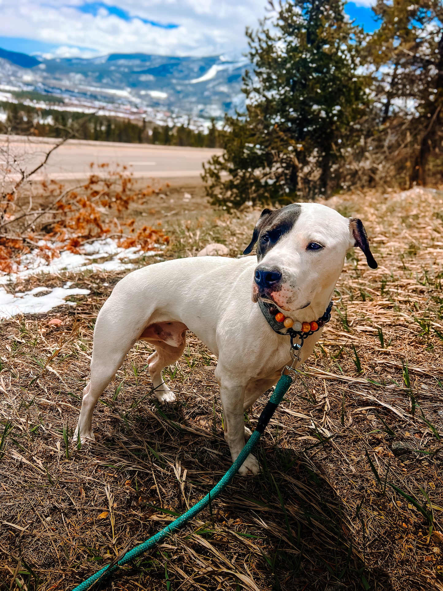 Coffee Melt Beaded Collar