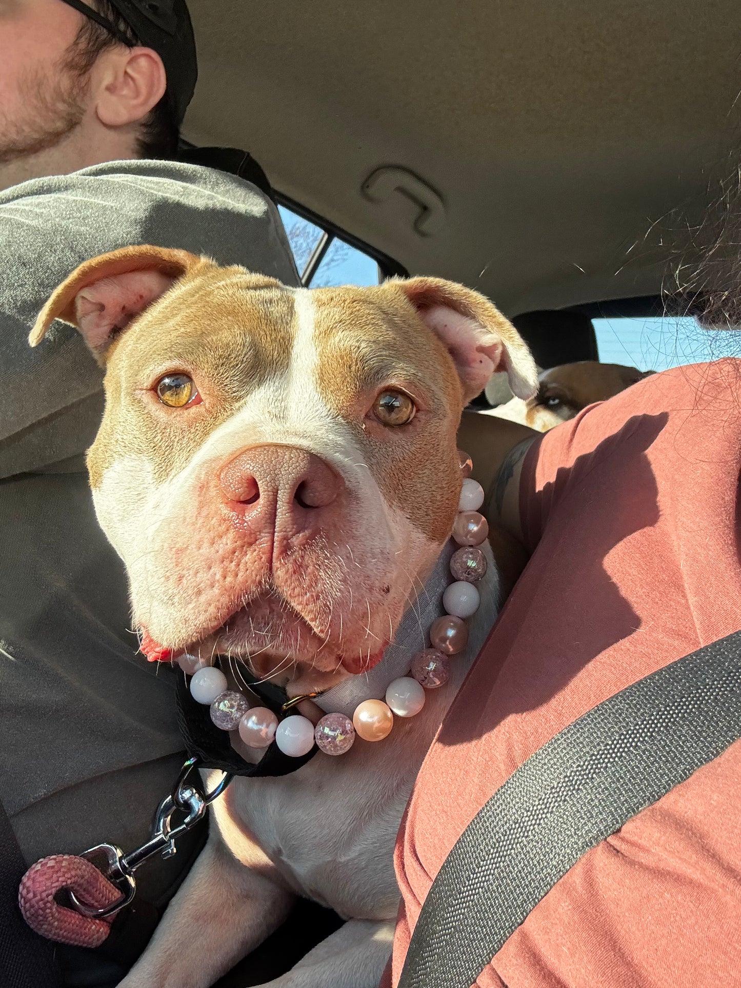 Pink Champagne Beaded Collar