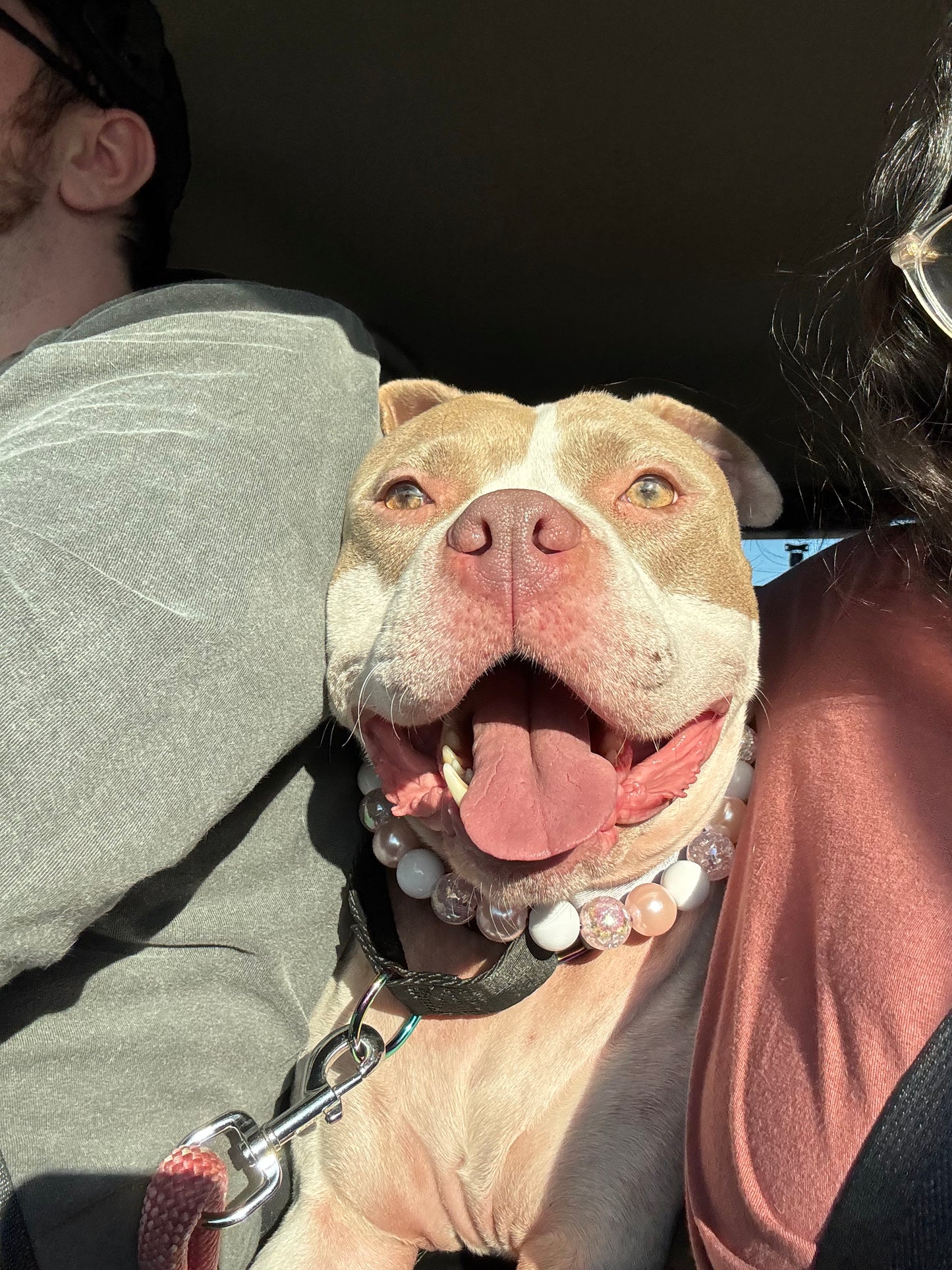 Pink Champagne Beaded Collar