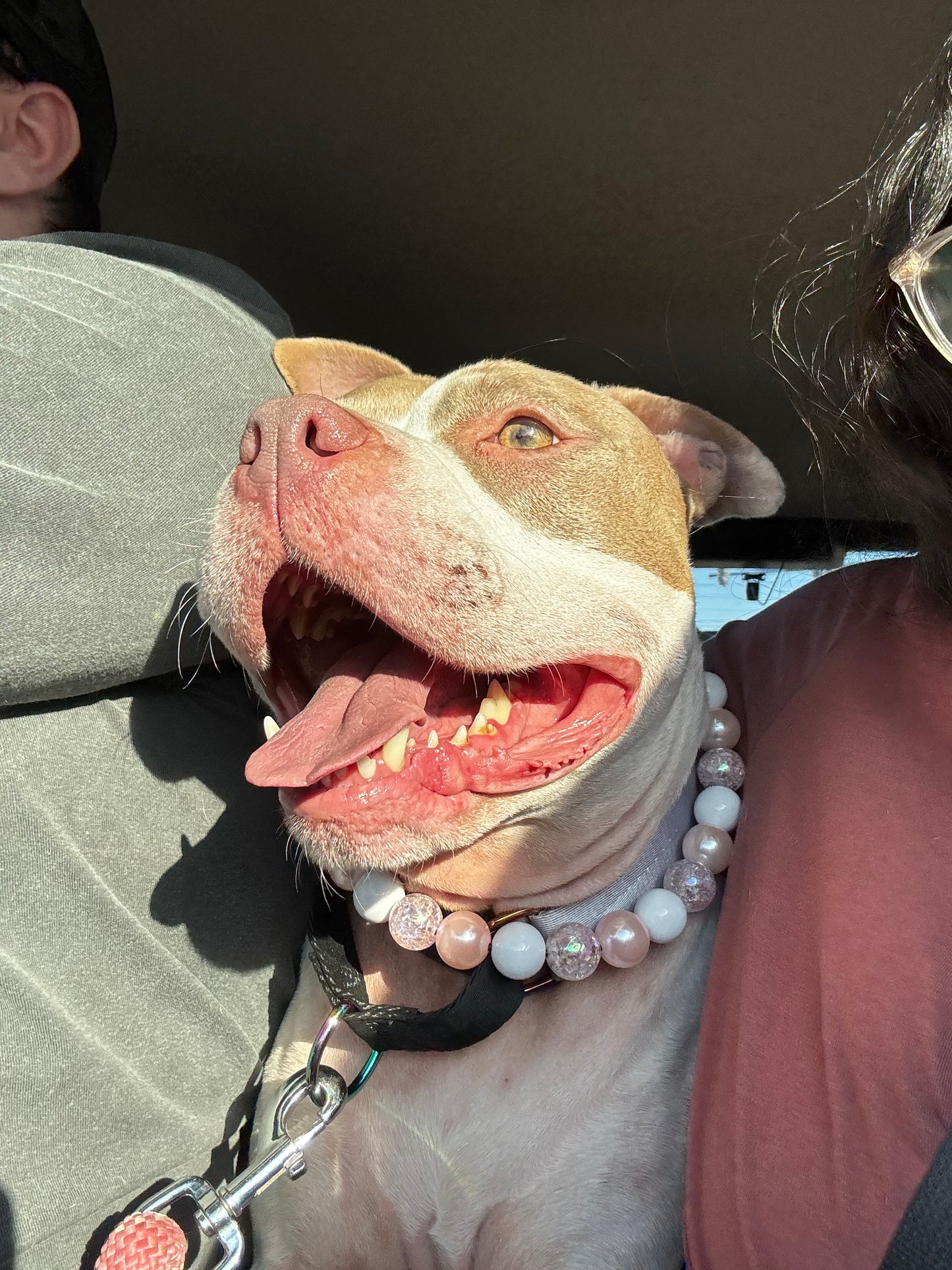 Pink Champagne Beaded Collar
